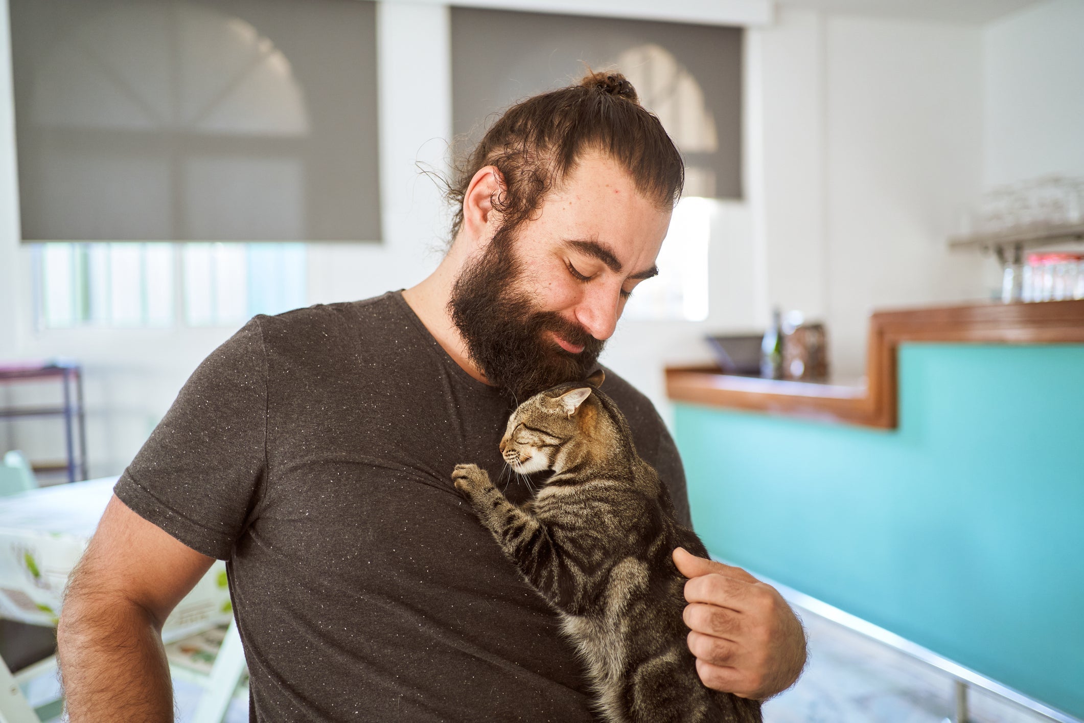 O gato sente falta do dono e demonstra isso do seu jeitinho