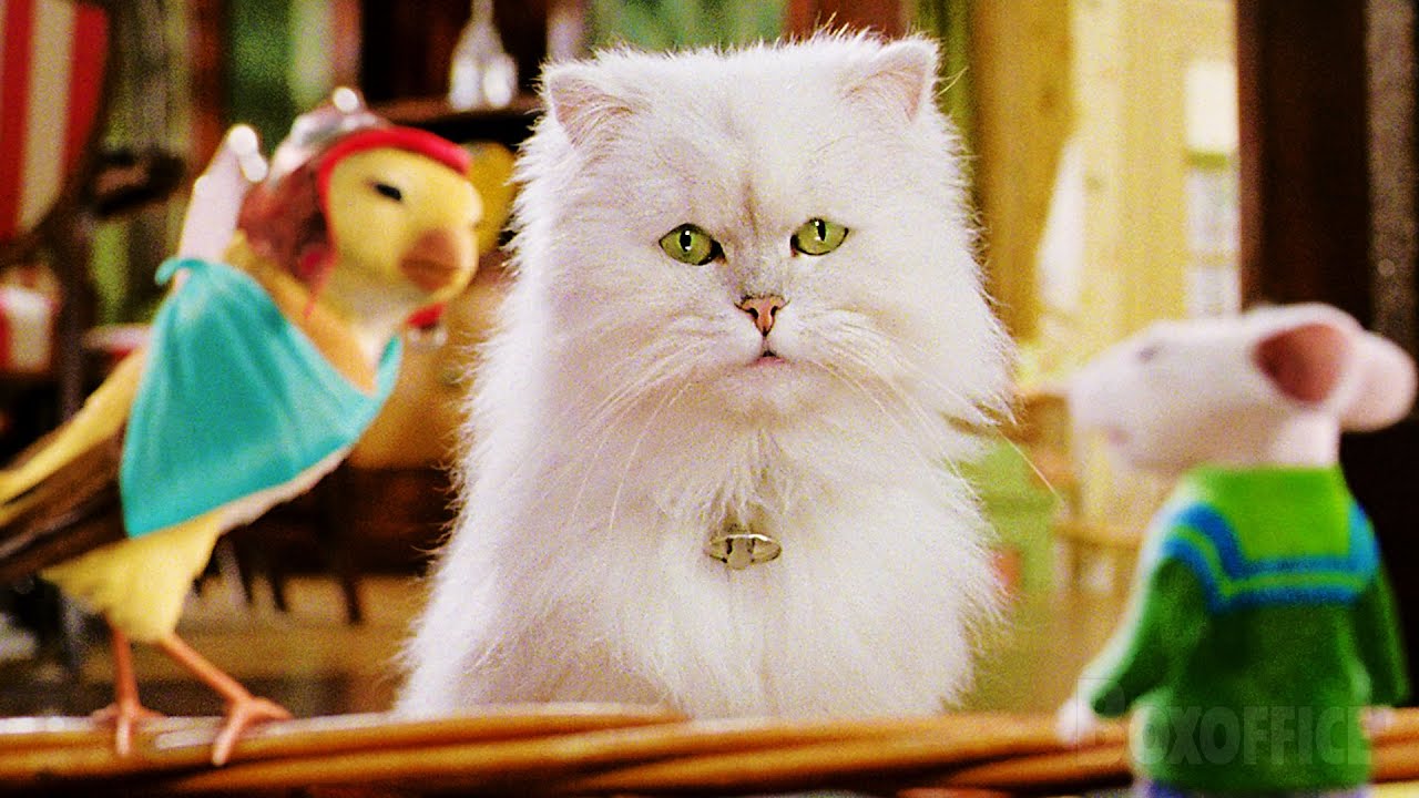 Ainda no mundo da ficção, o gatinho Snowbell da famí­lia Little é da raça Persa (Créditos: Divulgação)