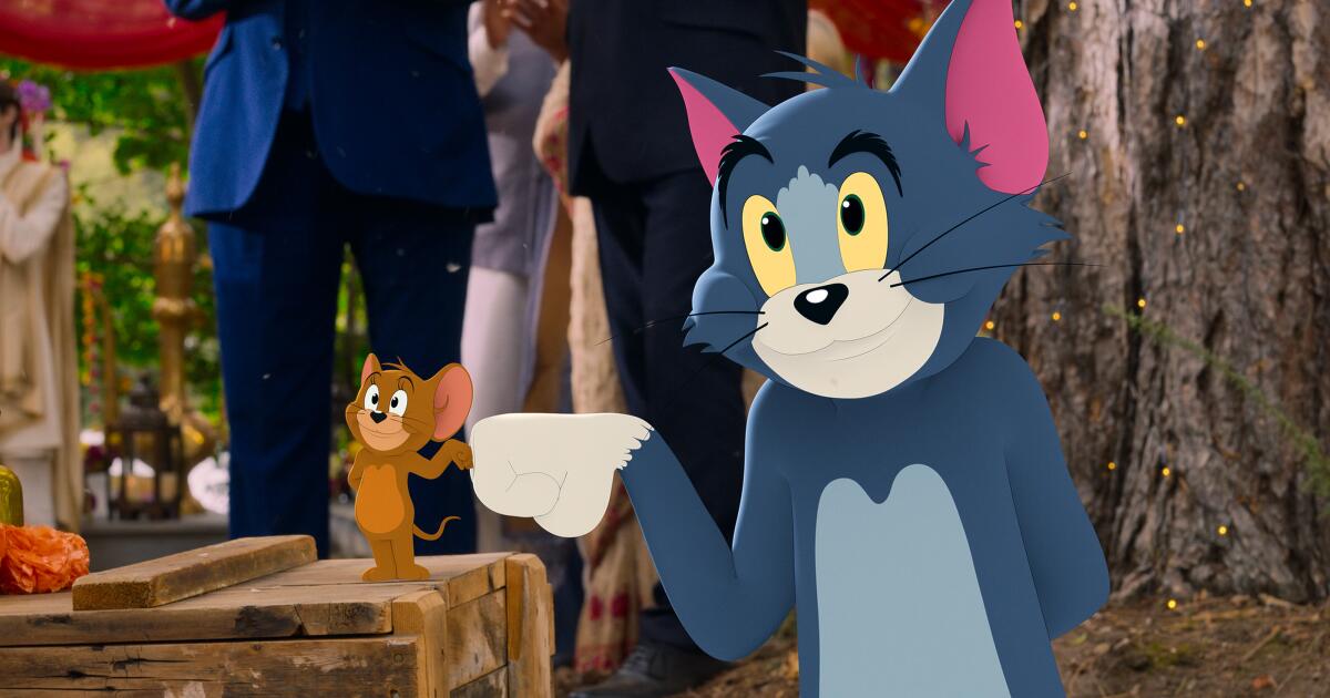 Gatos famosos: desenho Tom e Jerry retrata a história de um gato Azul Russo e um ratinho (Créditos: Divulgação)