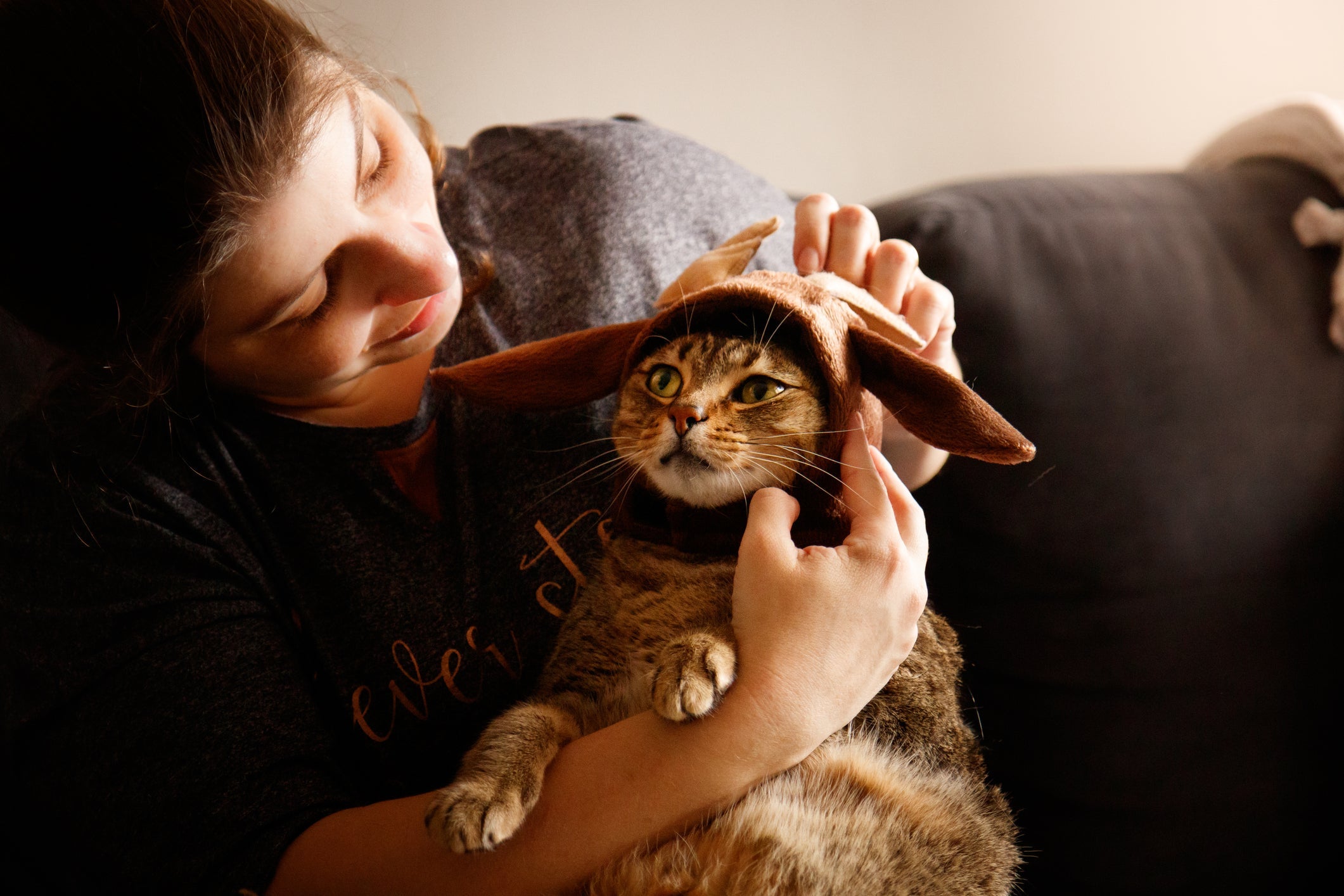 As fantasias e roupas de Natal podem dar um toque especial no seu gatinho