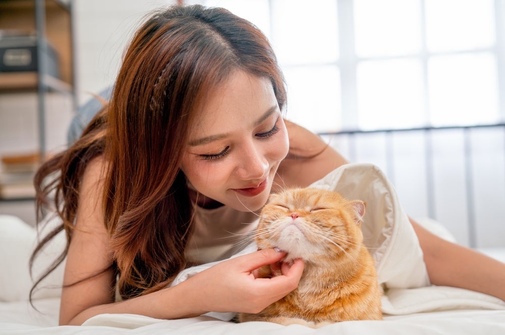 Os gatos respondem melhor às palavras ditas pelos donos