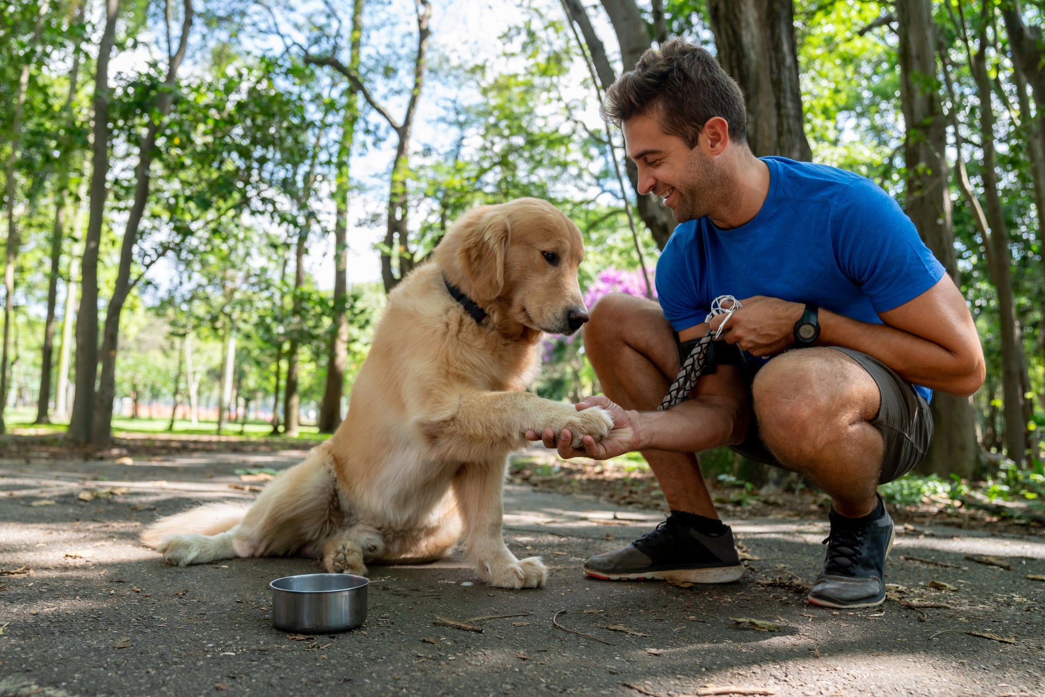 É importante levar água gelada ao passear com cachorro no calor