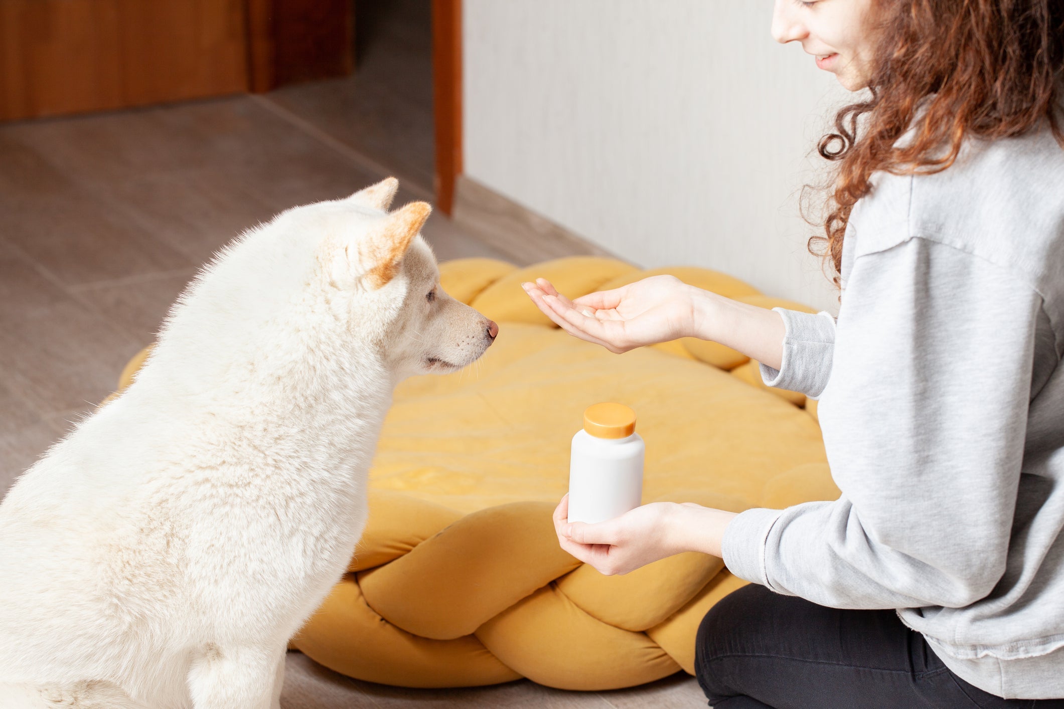 O suplemento para cachorro não é necessário para todos os pets