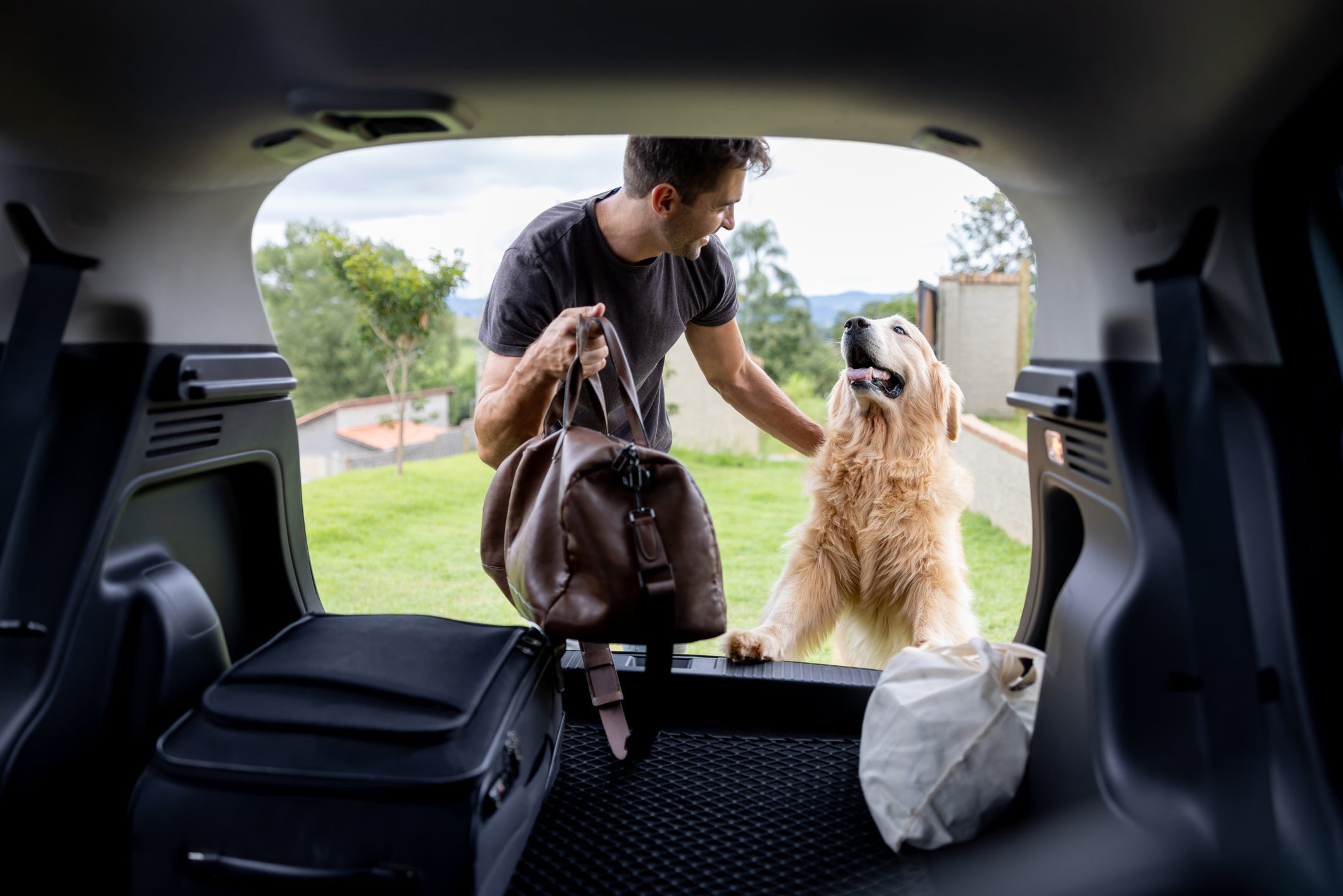 Viajar com cachorro exige planejamento