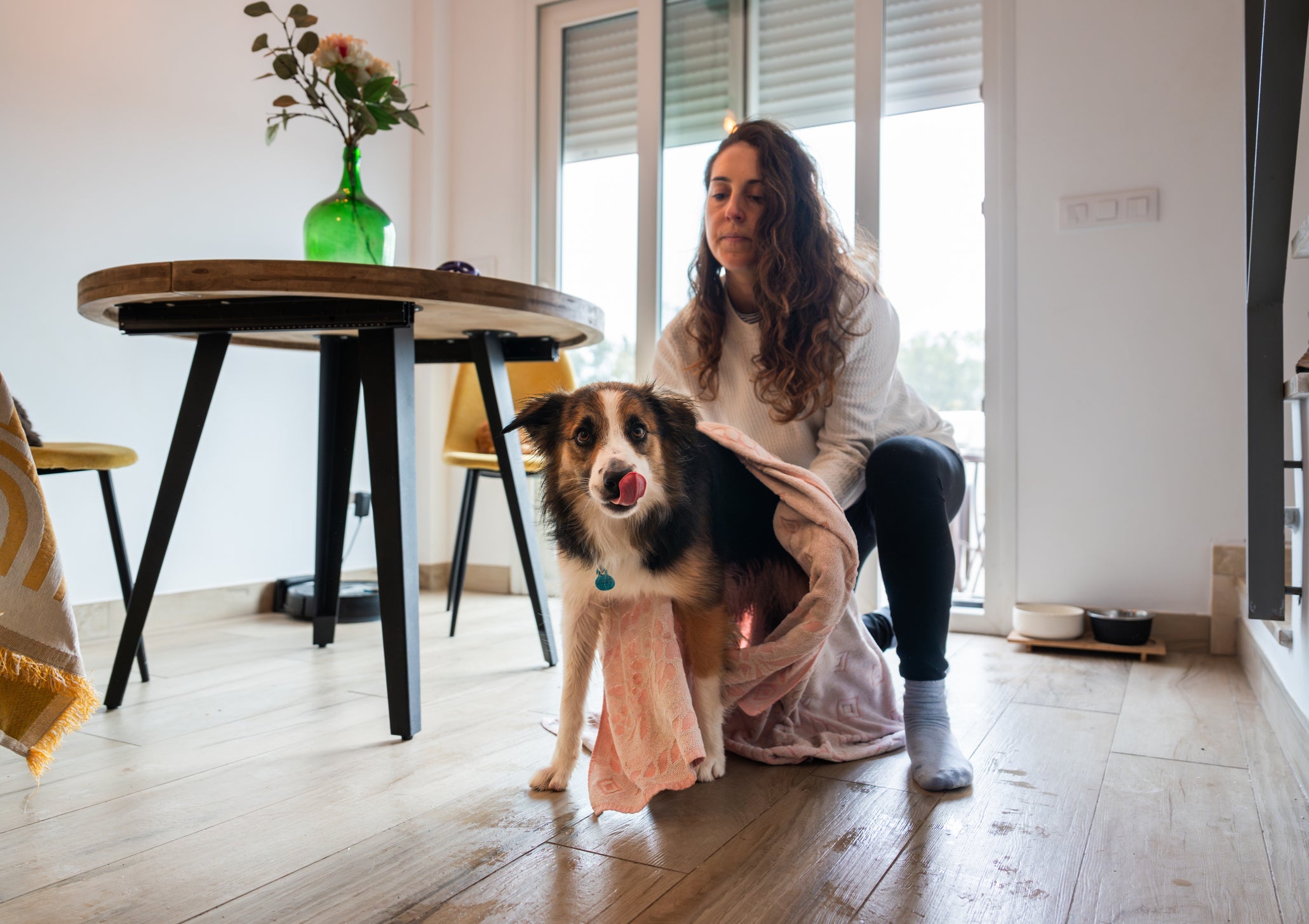 Após passear com cachorro na chuva, é importante secá-lo muito bem