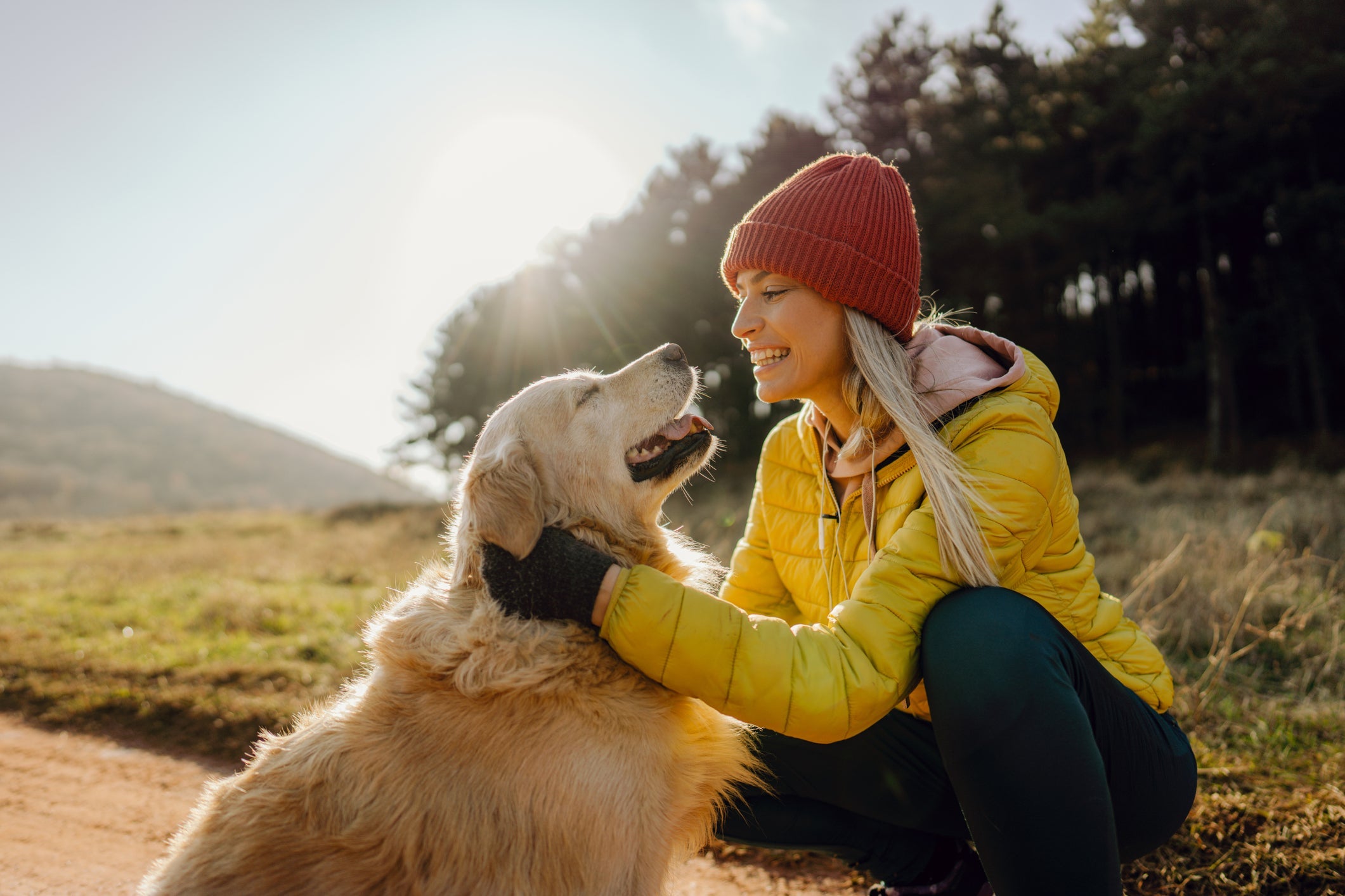O Golden Retriever é uma das raças de cachorro mais procuradas para atuar como cão de suporte emocional