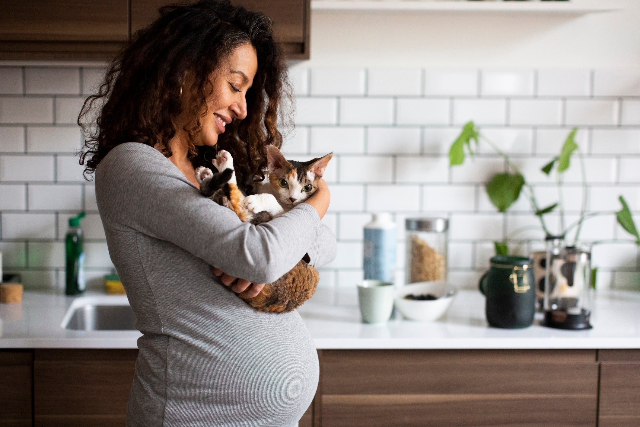 A toxoplasmose na gravidez não é um risco, desde que tenha todos os cuidados