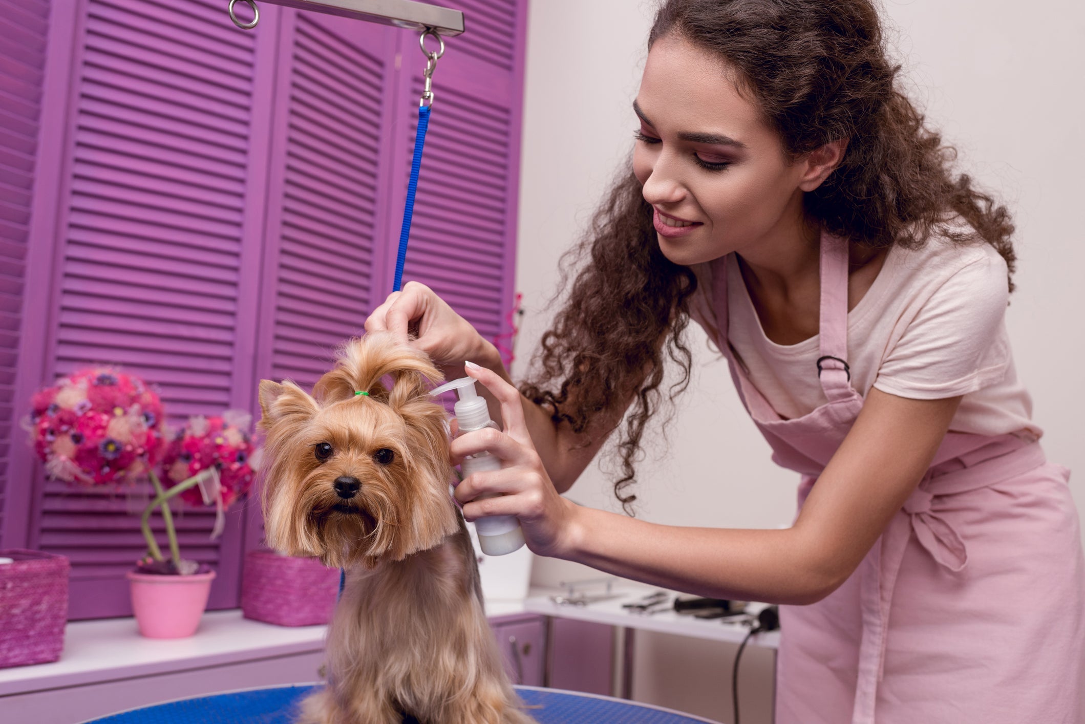 Com o hidratante para cães, seu amigo de quatro patas fica com a pele super renovada!
