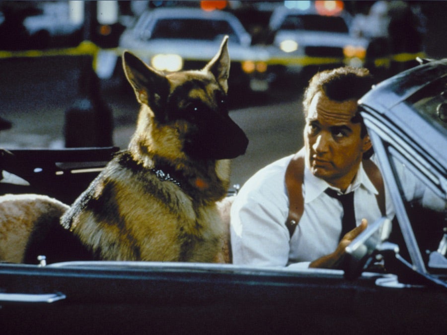 Esse é um filme de cachorro antigo e muito engraçado