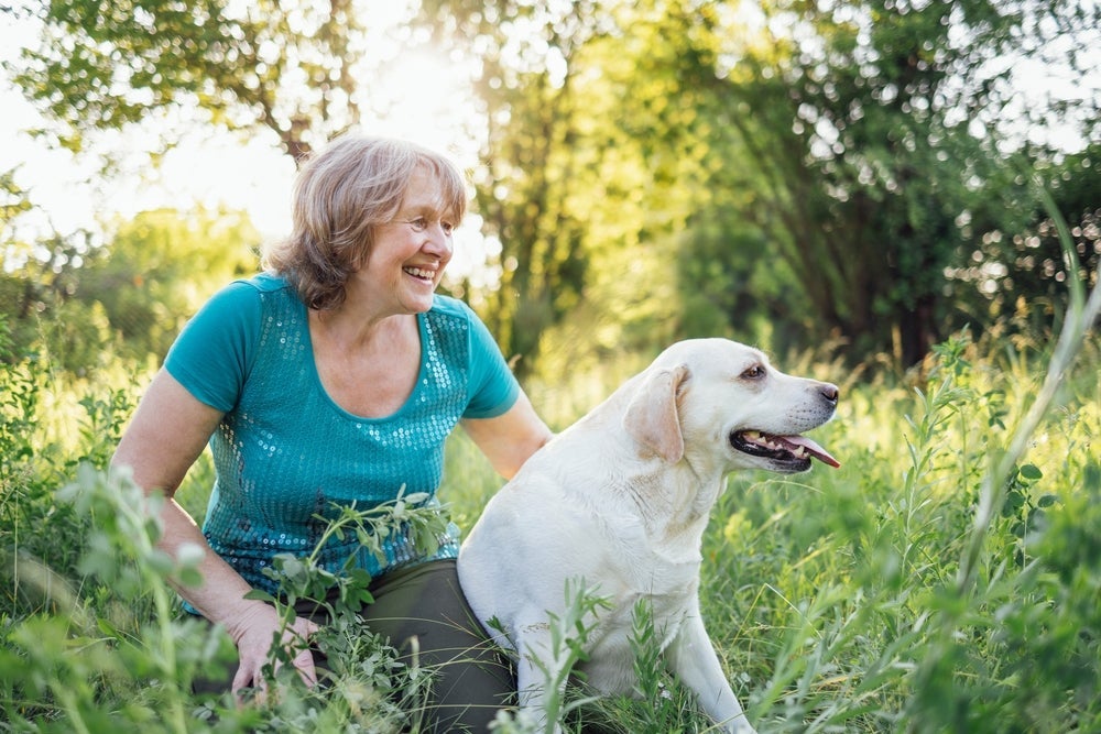 O Labrador é uma raça perfeita para todas as idades