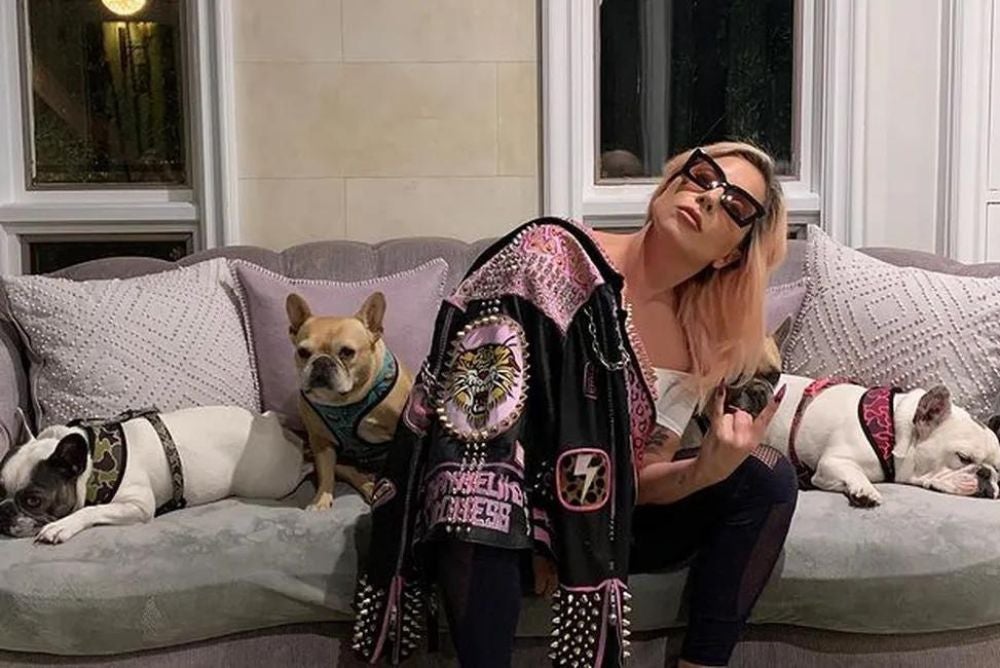 Lady Gaga adora ficar ao lado dos seus cães dentro de casa