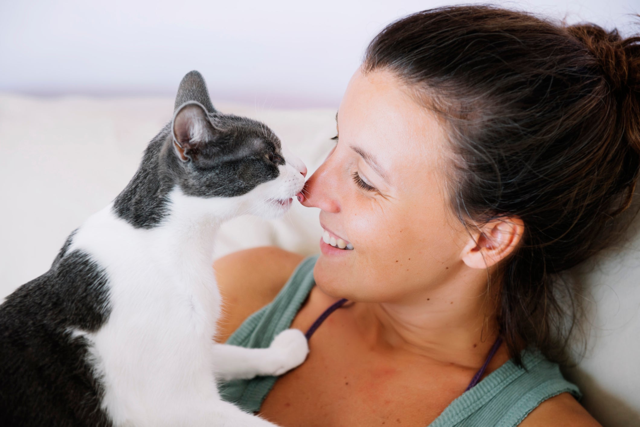 Lambidas no tutor demonstram o amor de gato