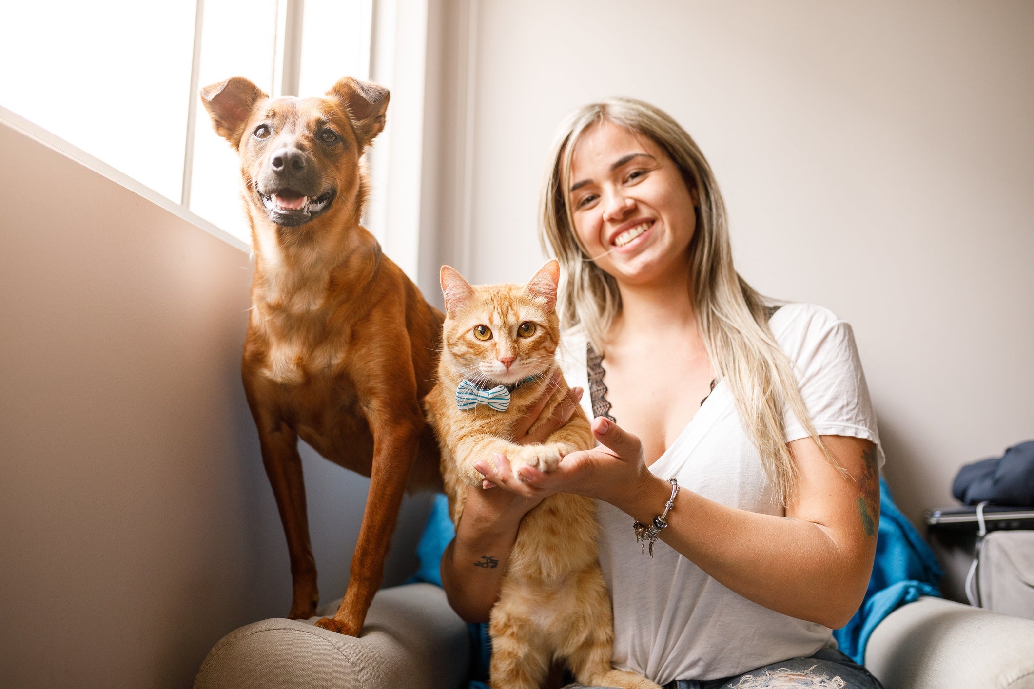 Mãe de cachorro e gato une o melhor dos dois mundos
