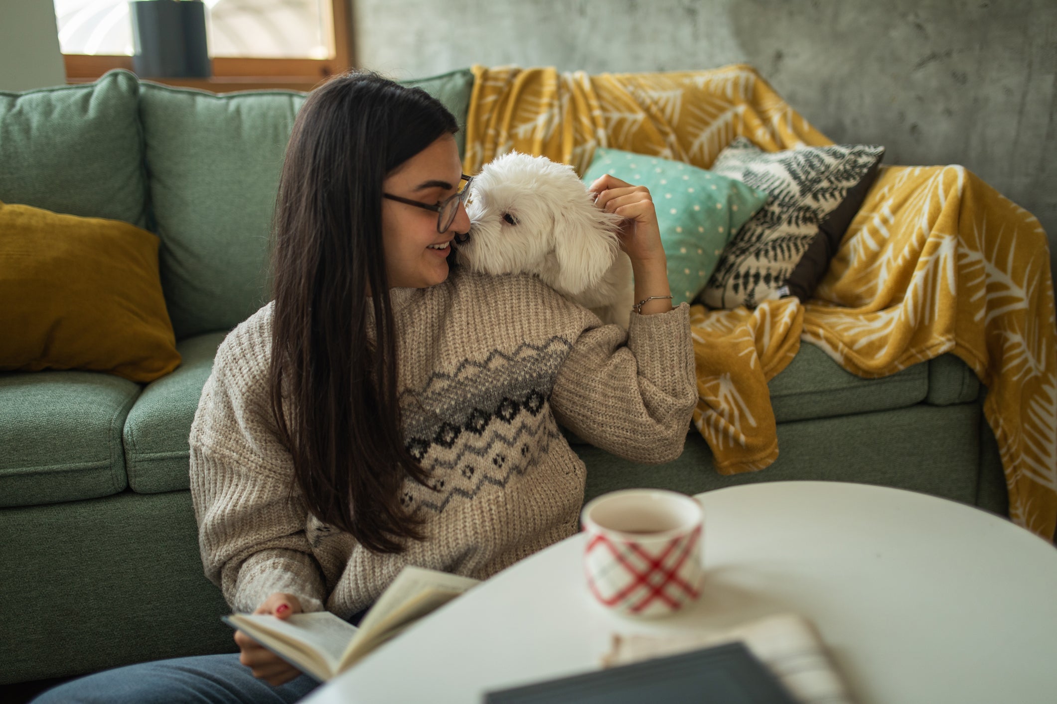 O Maltês é um cãozinho carinhoso e especial
