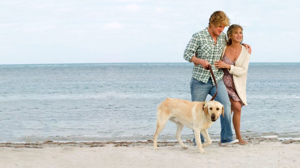 Esse é um filme de cachorro emocionante e engraçado ao mesmo tempo