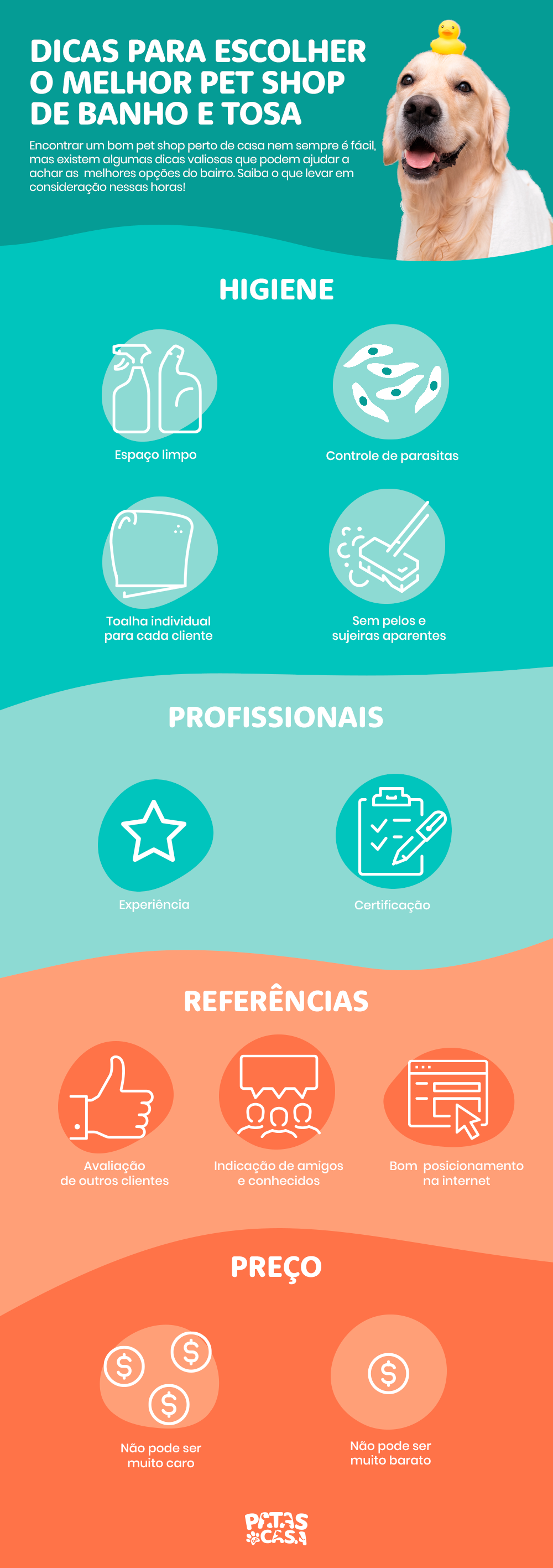 Veja como escolher o melhor pet shop de banho e tosa