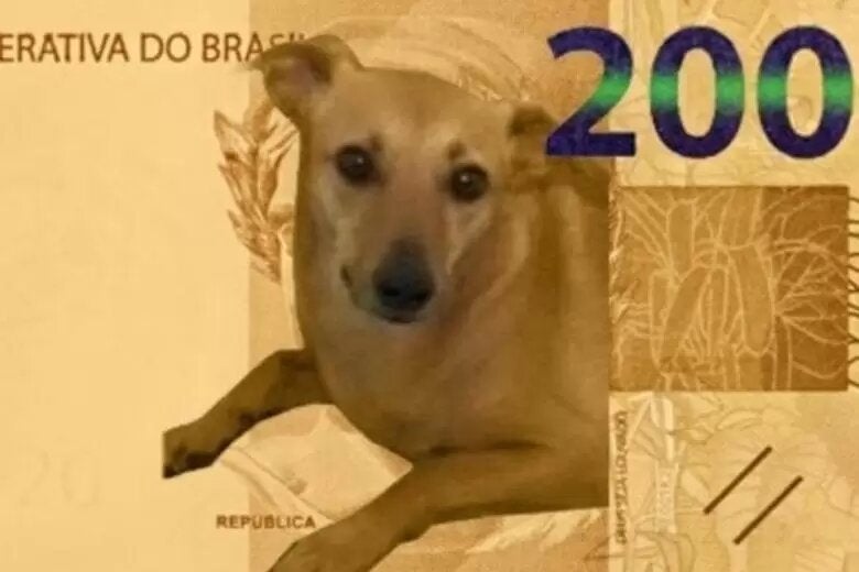 Meme do cachorro caramelo dominou o Brasil