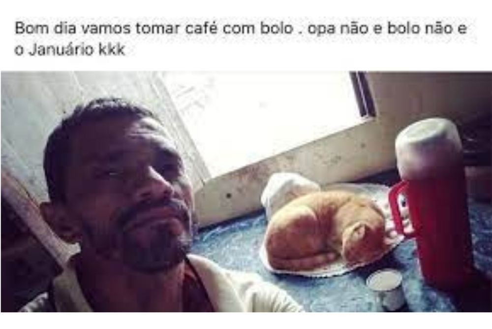 O meme do gato Januário faz sucesso