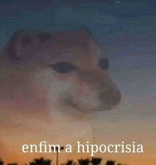 Memes engraçados de cachorro: Enfim, a hipocrisia dominou a web