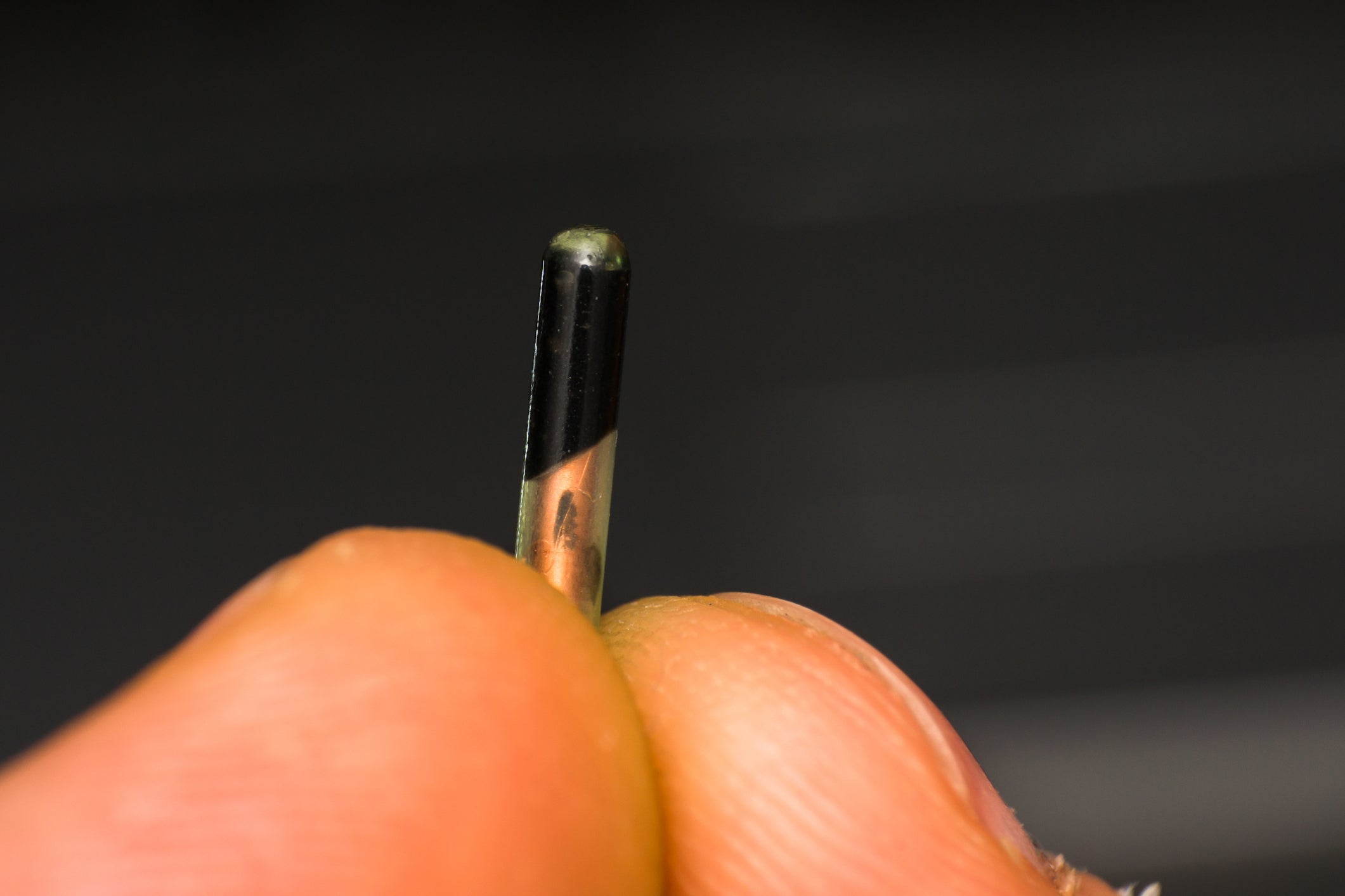 Microchip utilizado em cachorros é bem pequeno