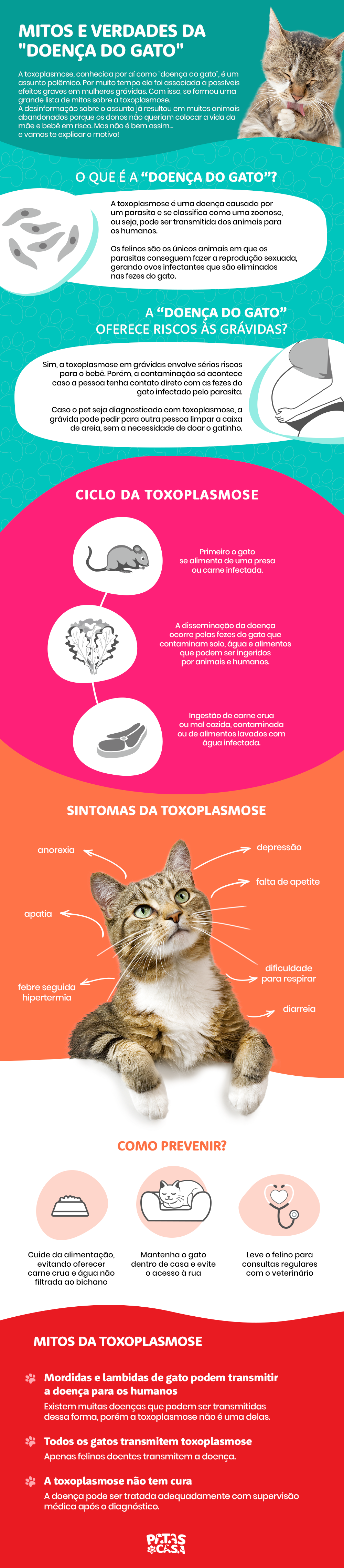 A toxoplasmose é uma doença de gato perigosa e que pode ser transmitida para os humanos