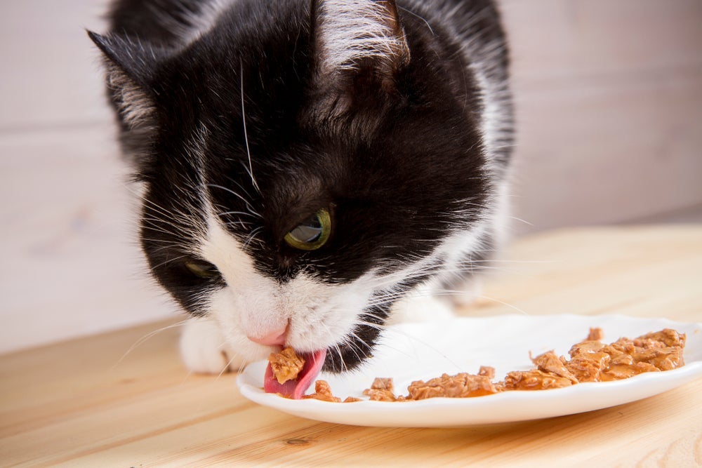 Além de aumentar a ingestão de água, o mix feeding torna a alimentação mais atrativa e nutritiva