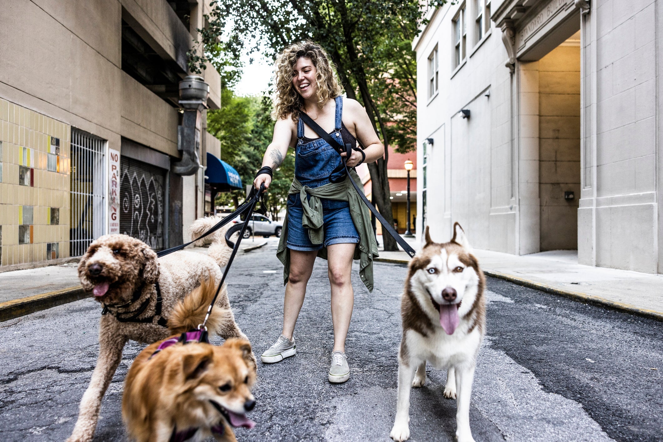 O passeador de cachorro precisa ter habilidade para conduzir vários animais e até lidar com situações mais complexas