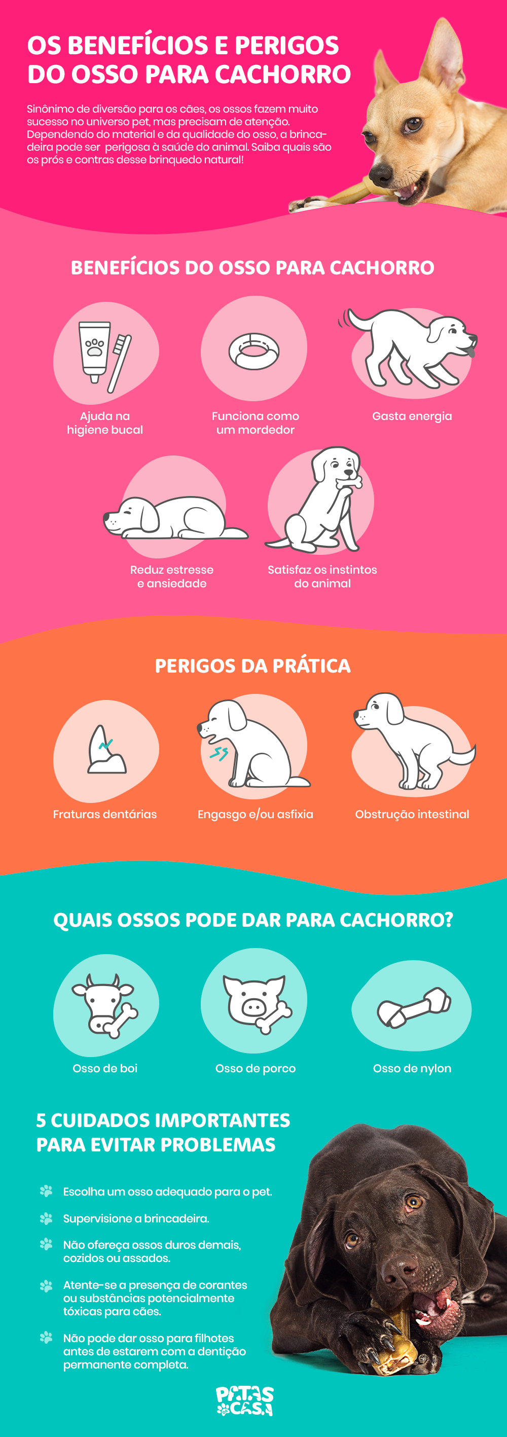 O osso para cachorro deve ser oferecido com cuidado para não prejudicar a saúde do pet
