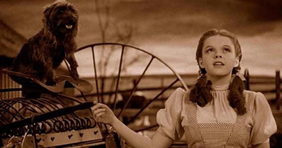 Filmes com cachorro: Totó é o cãozinho de Dorothy (Créditos: Divulgação)