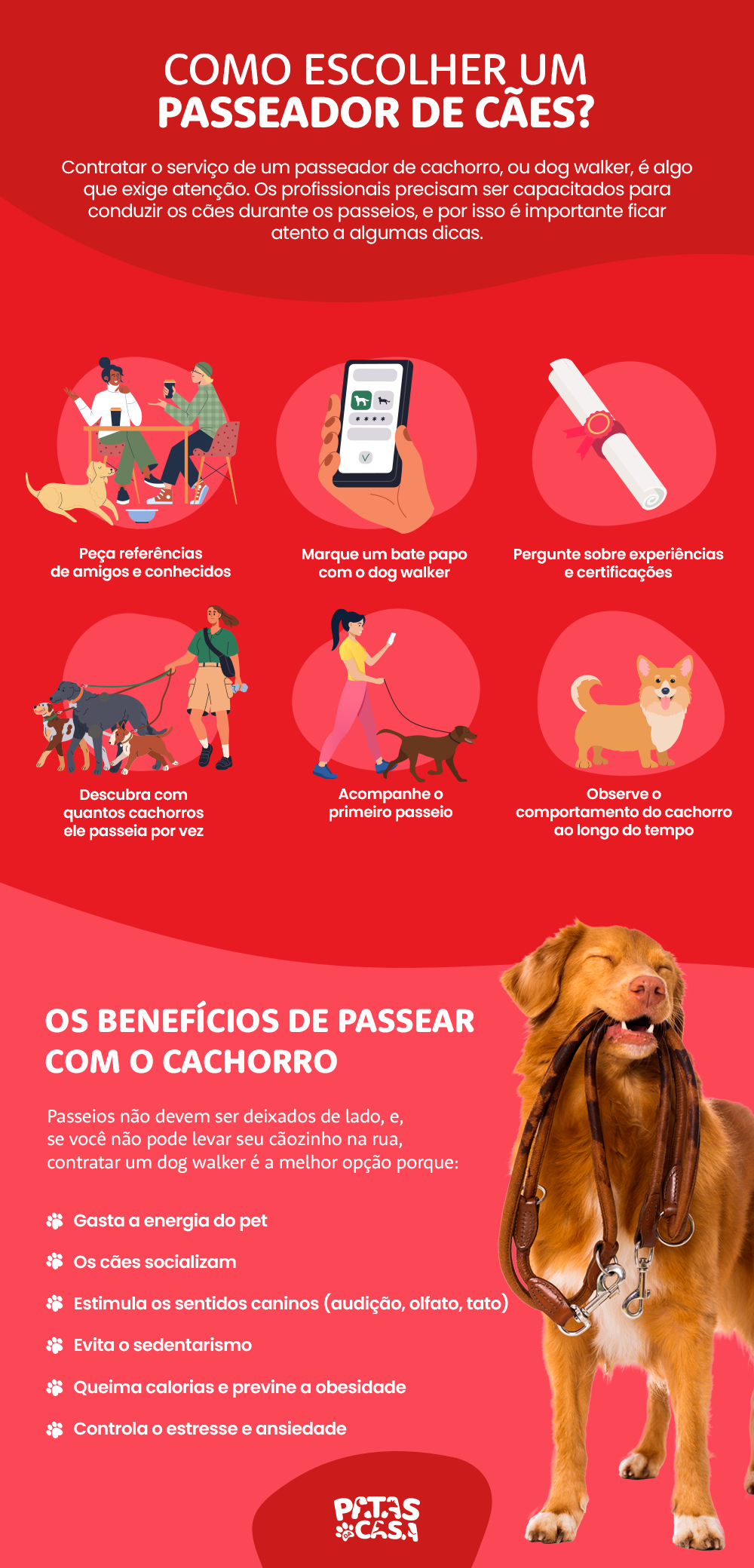 bloco informativo com dicas de como escolher o melhor passeador de cachorro