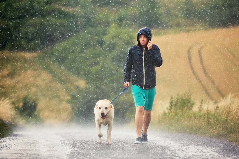 Passear com cachorro na chuva exige alguns cuidados a mais