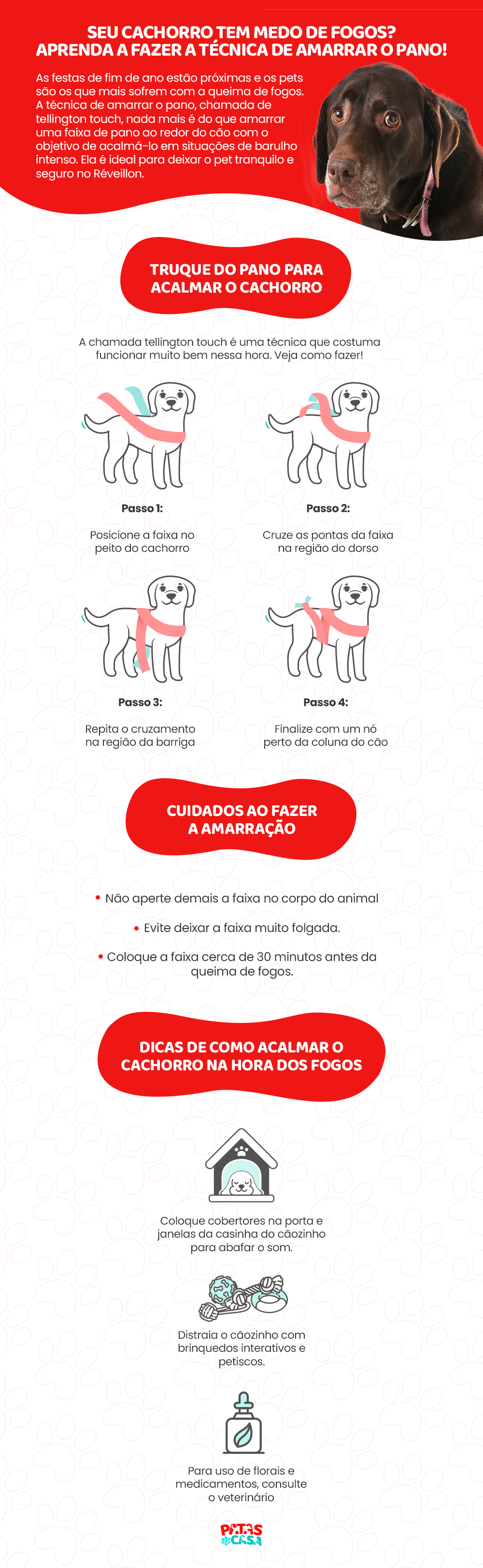 A tellington touch é uma técnica de amarração que acalma o cachorro com medo de fogos