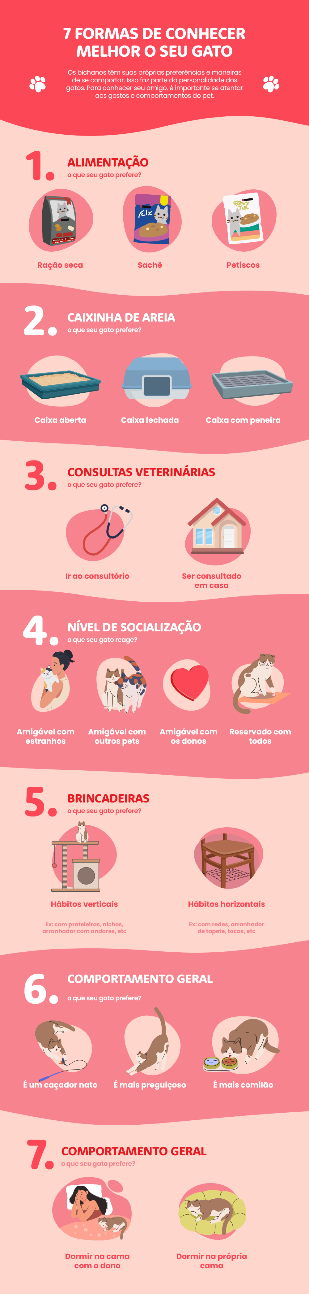 Bloco informativo mostrando as características da personalidade do gato