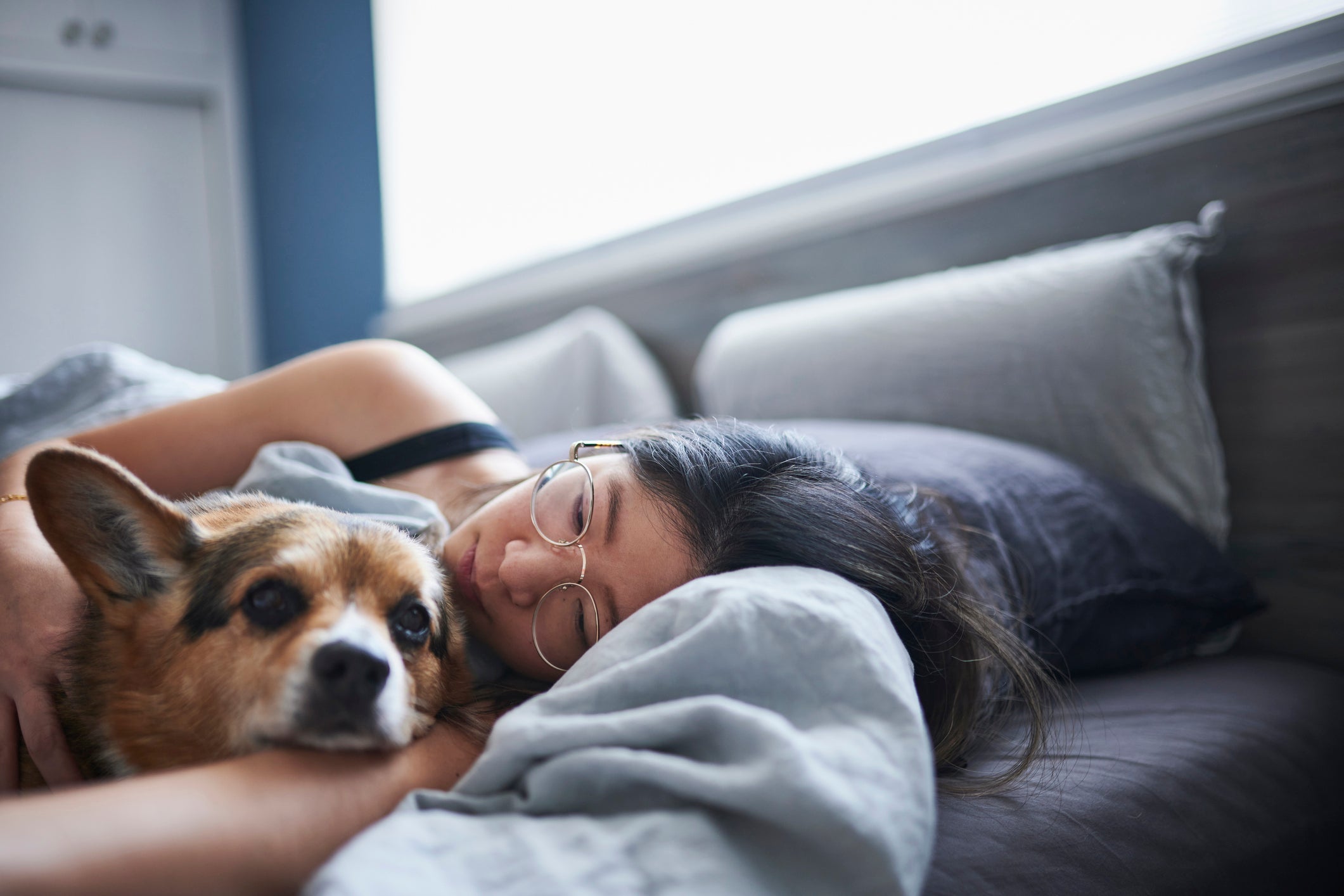 Pet terapia: companhia de cão pode funcionar como terapia perfeita