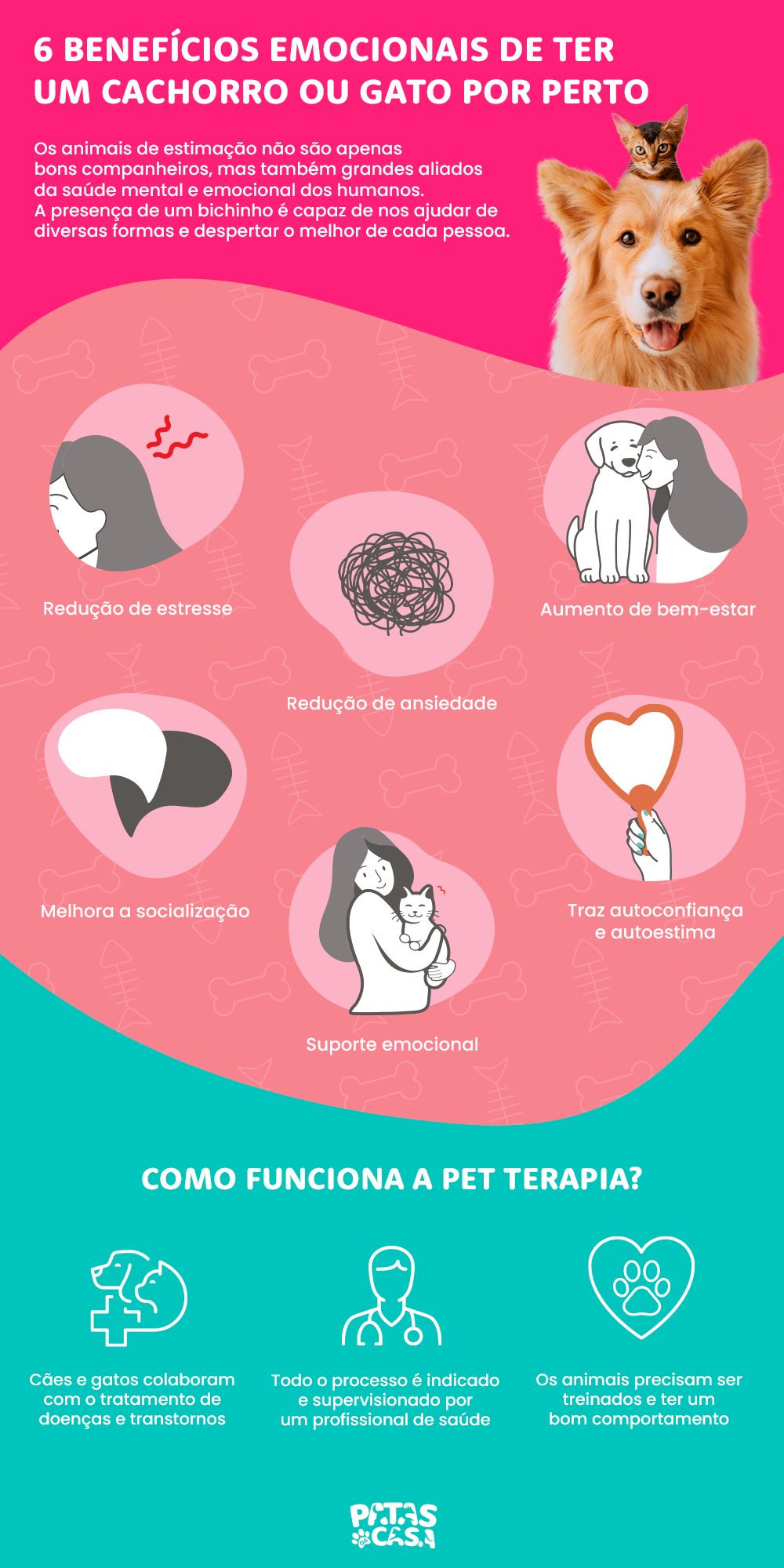 Pet terapia é um método eficaz no tratamento de transtornos emocionais