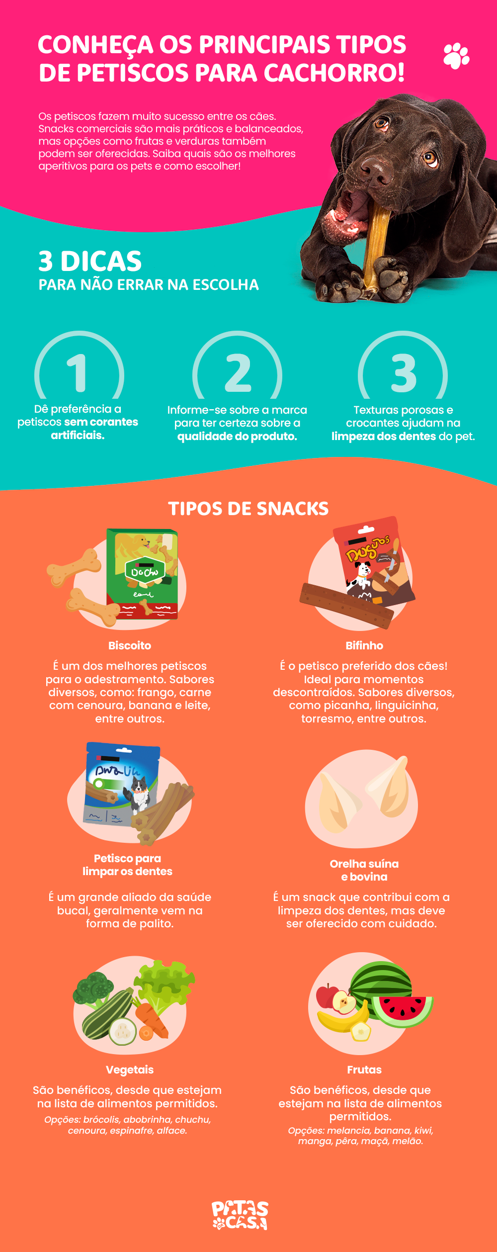 Conheça os principais tipos de petiscos para cachorro!