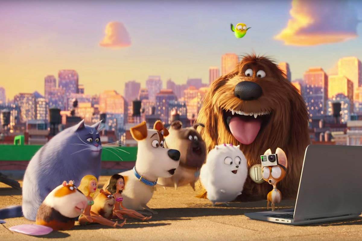 Esse filme de cachorro conta o que os peludos fazem quando estão sozinhos