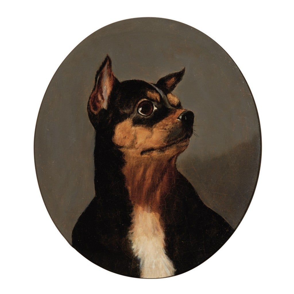 Retrato de Pinscher pintado por Alfred Wheeler, pintor que viveu em 1800 (Créditos: Divulgação)