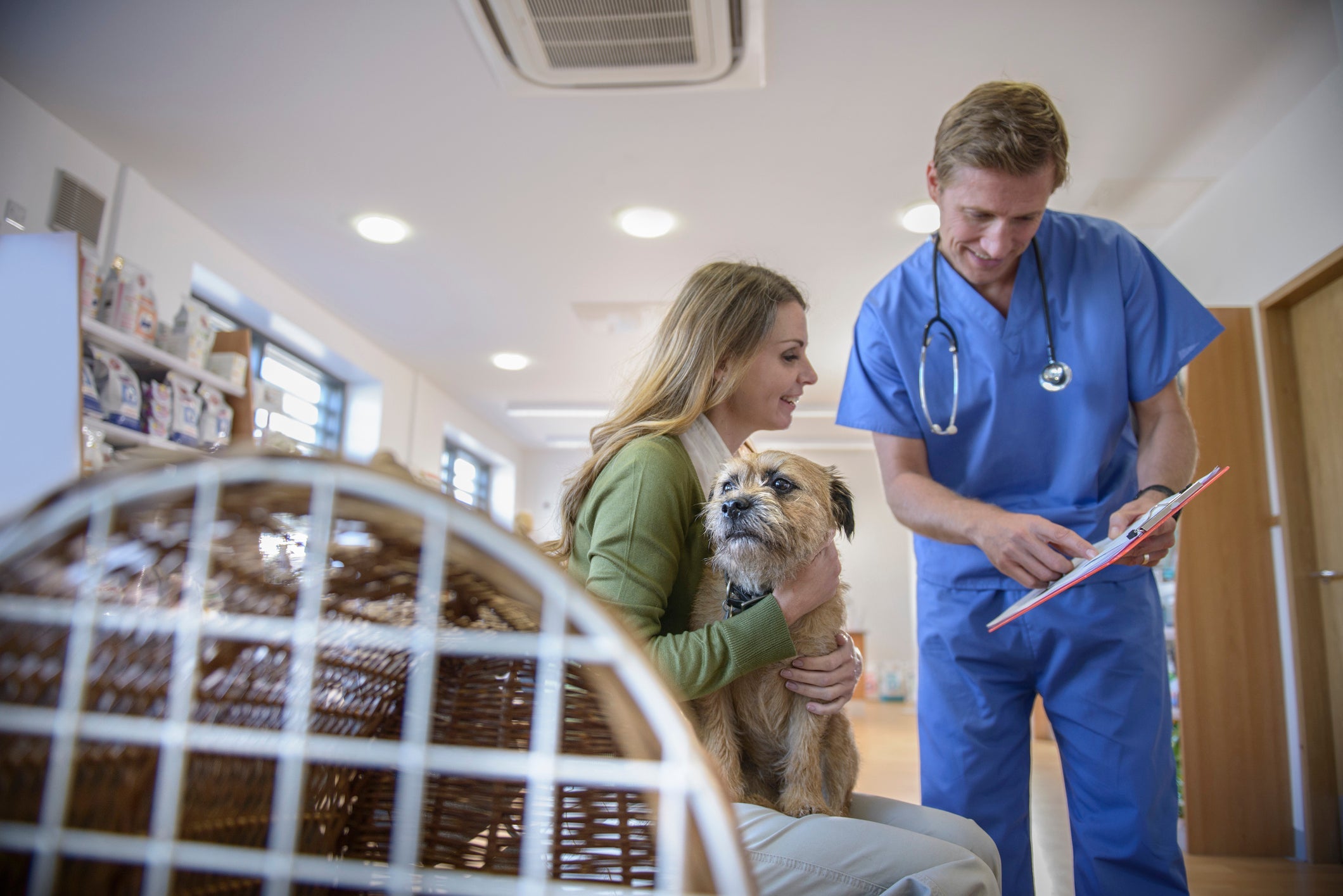 Plano de saúde animal: preço pode variar e chegar até R$ 800