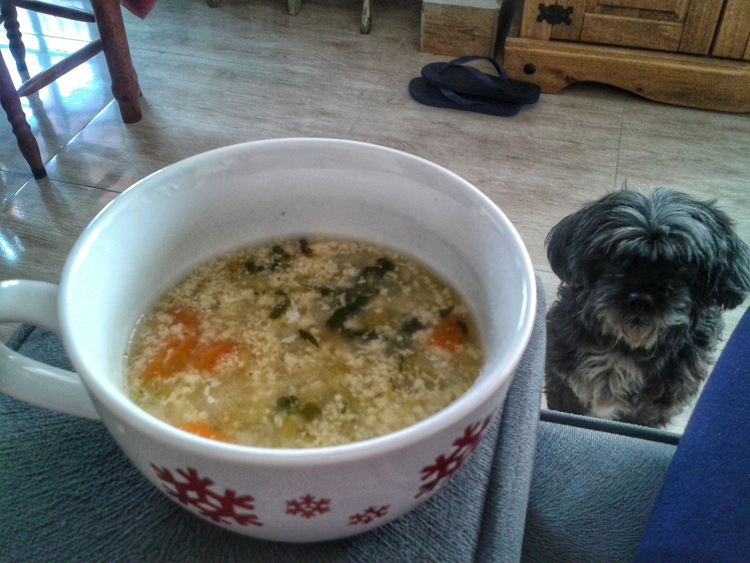 A sopa para cachorro doente deve ter ingredientes que não façam mal à saúde do animal