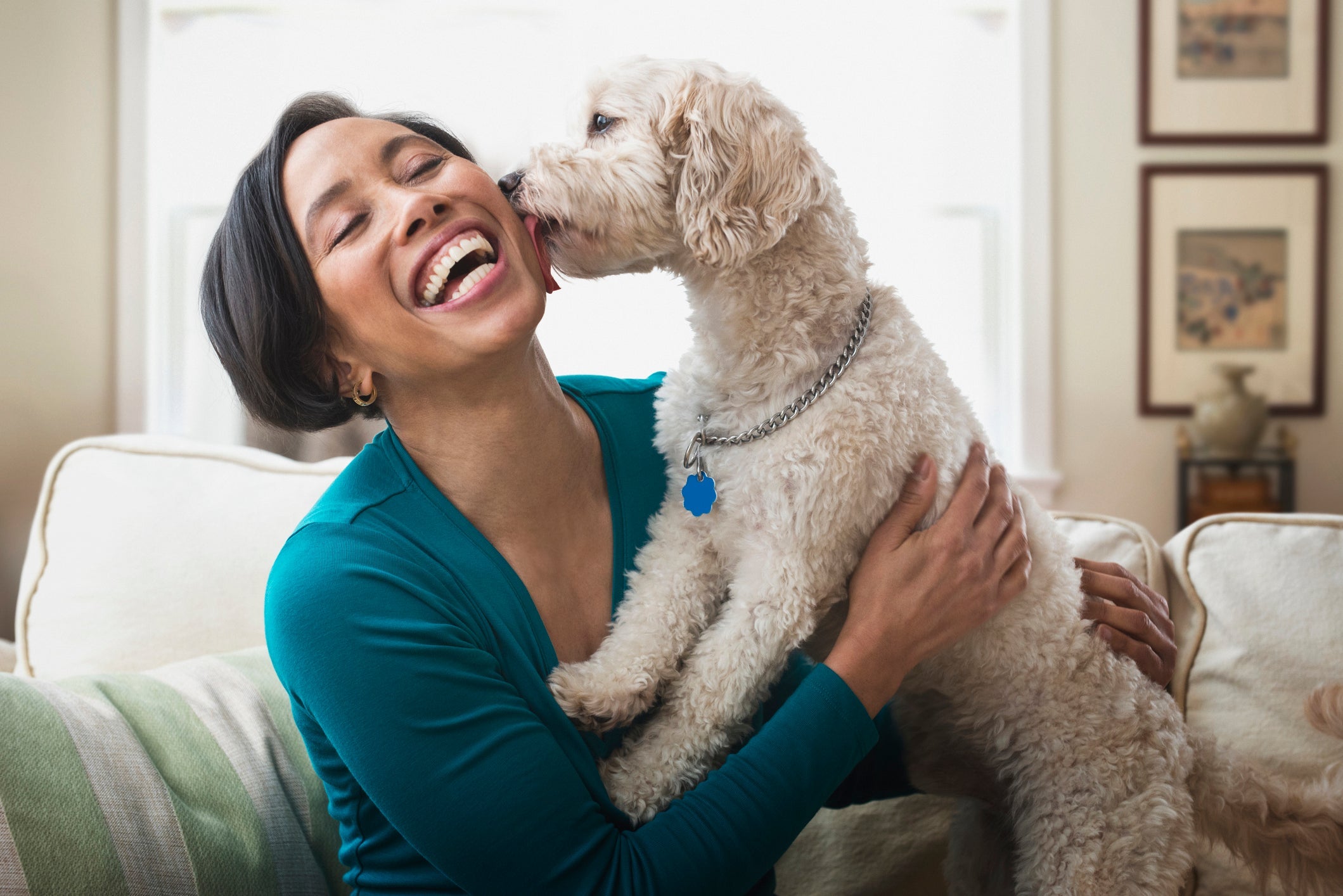 Como saber se meu cachorro me ama: se ele te olha diretamente nos olhos, é porque te ama!