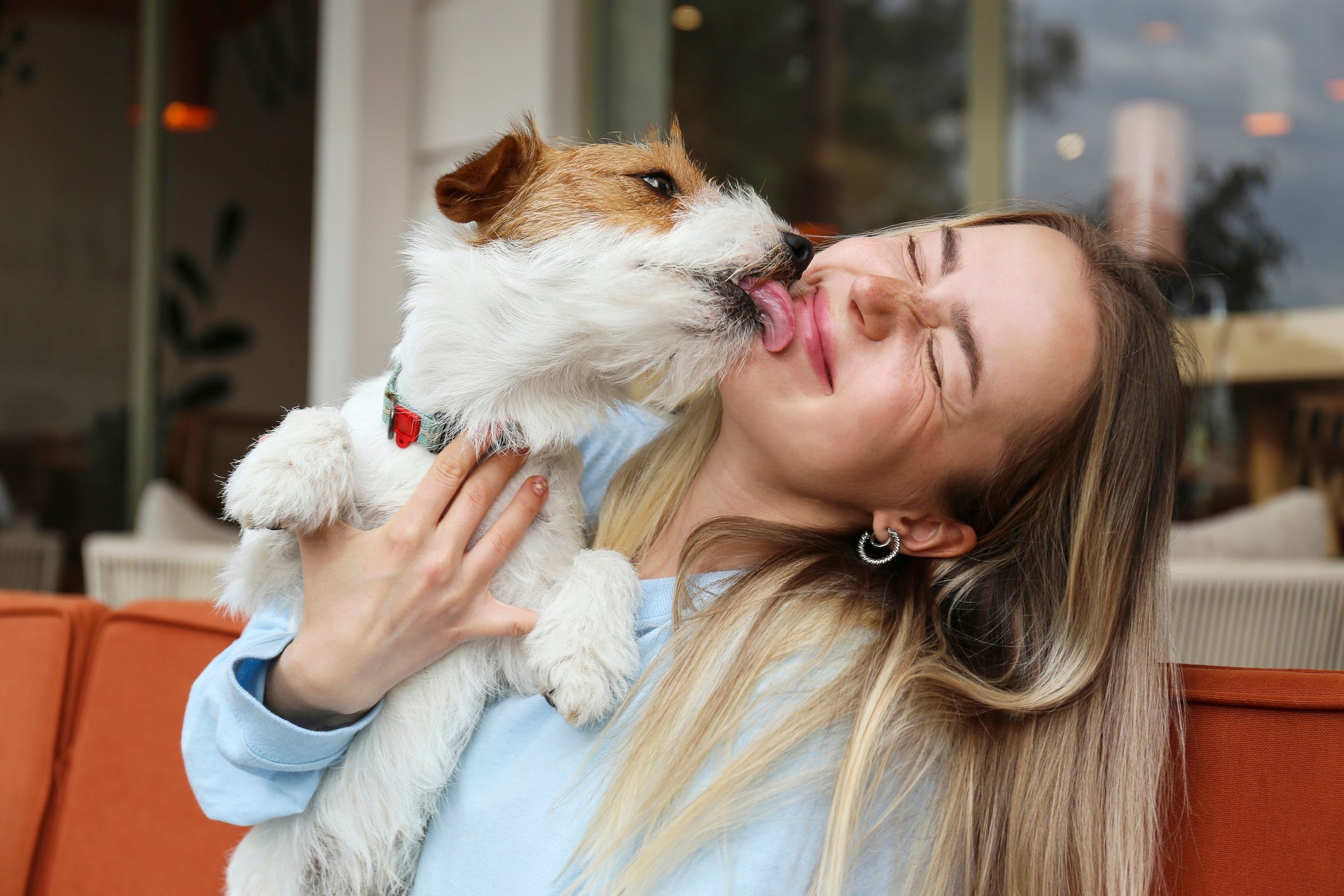 Cachorro lambendo muito o dono pode ser sinal de estresse ou ansiedade