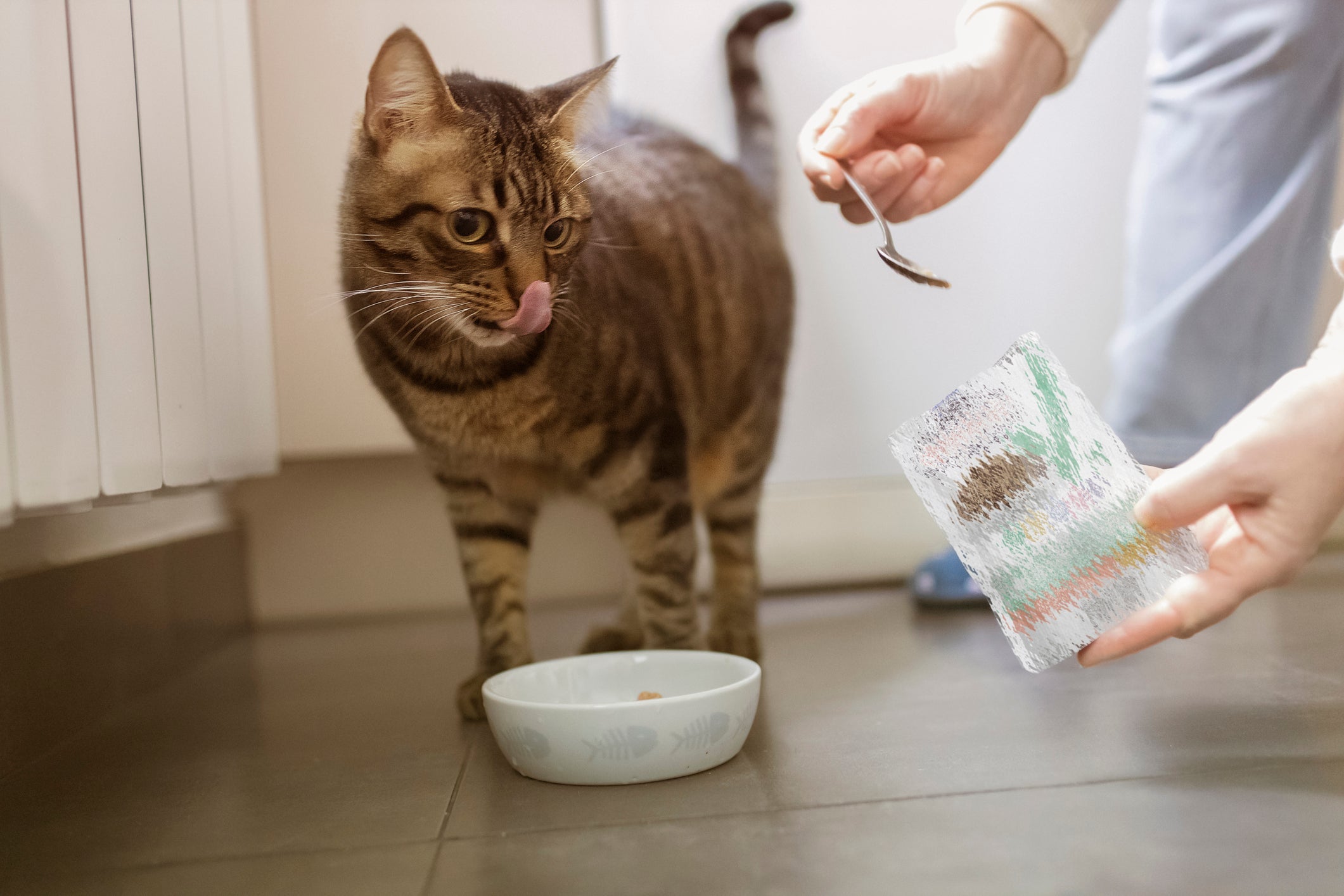 Depois de aberto, o sachê para gato precisa ser mantido na geladeira e deve ser consumido em até 3 dias