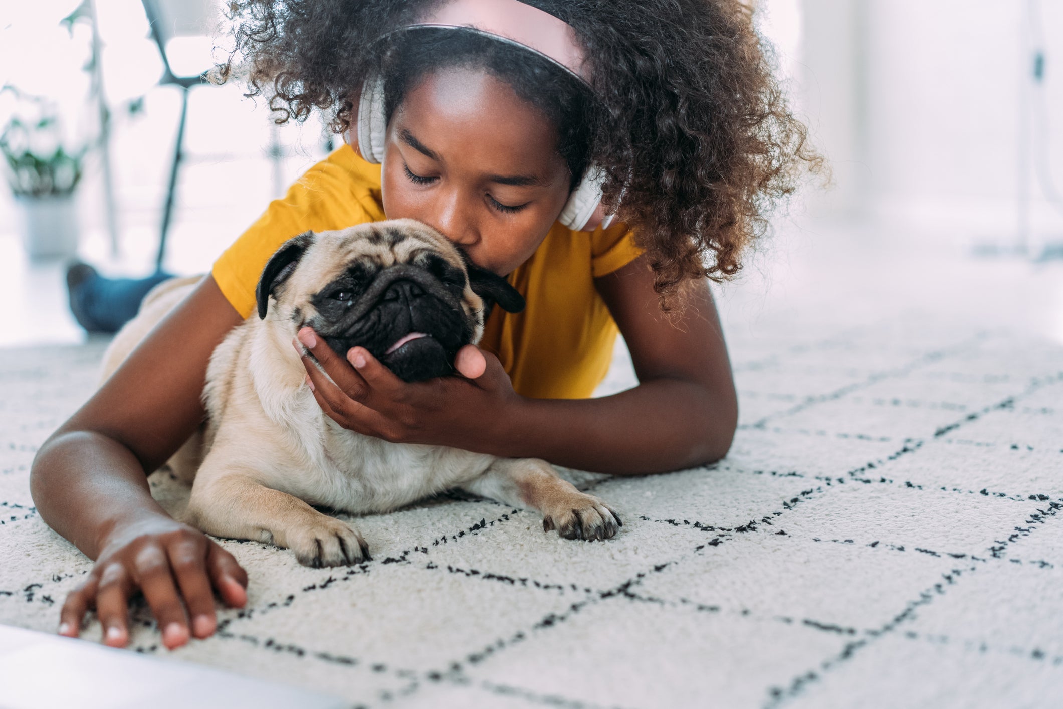 O Pug é um companheiro leal e amoroso