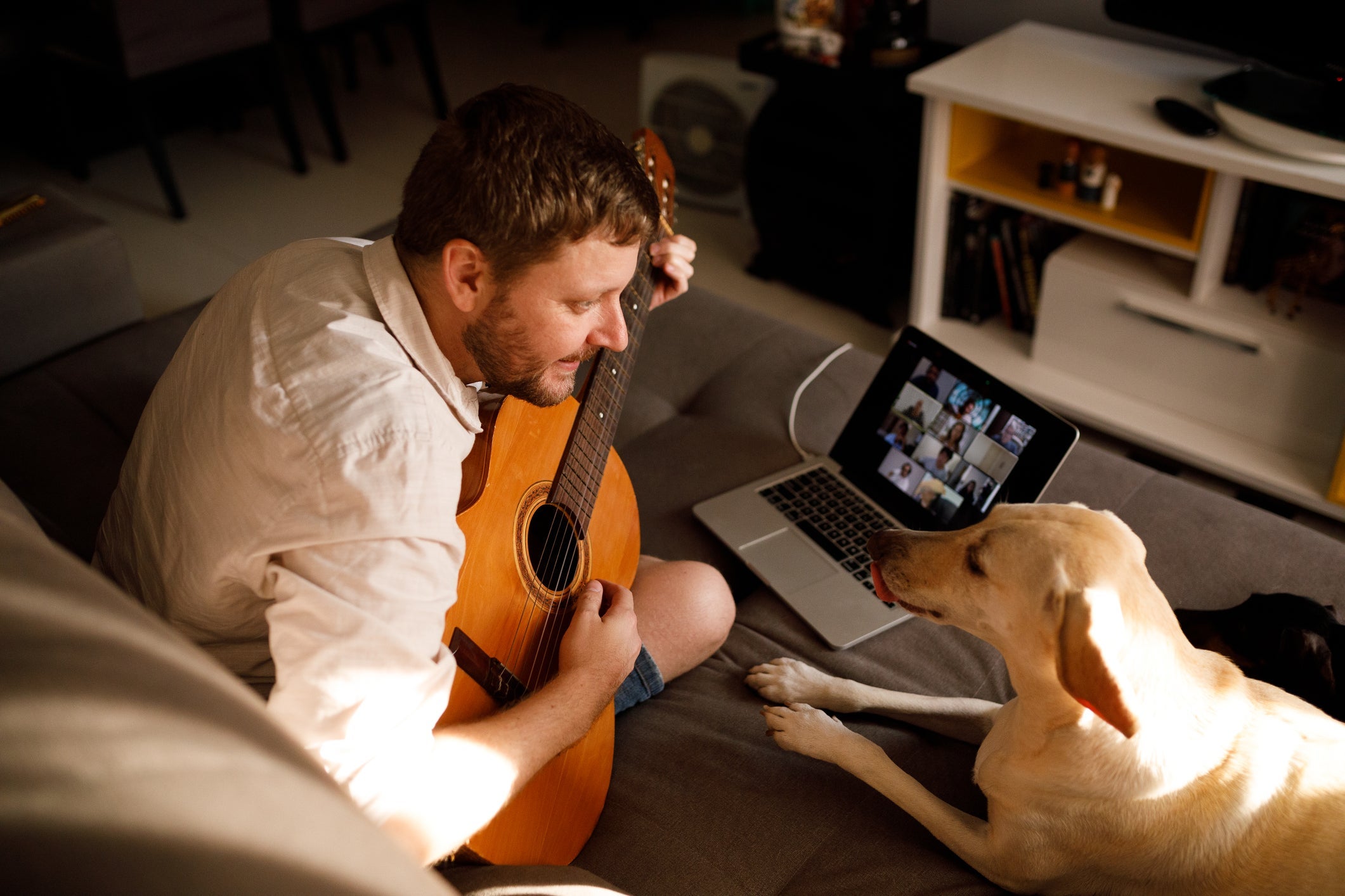 Usar música para fazer cachorro dormir ajudará ele a cair no sono mais rápido