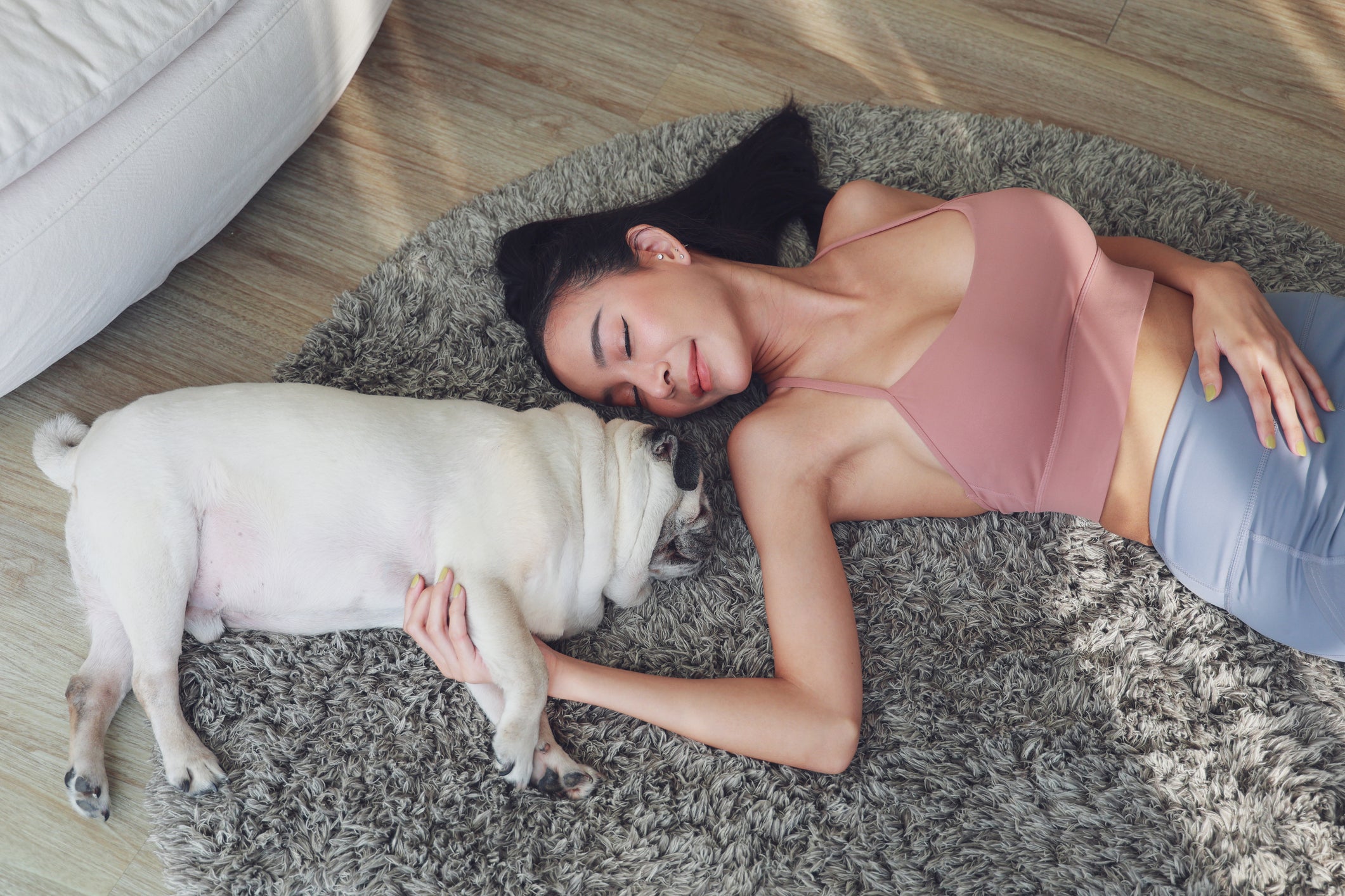 O cachorro roncando dormindo pode estar com problemas respiratórios
