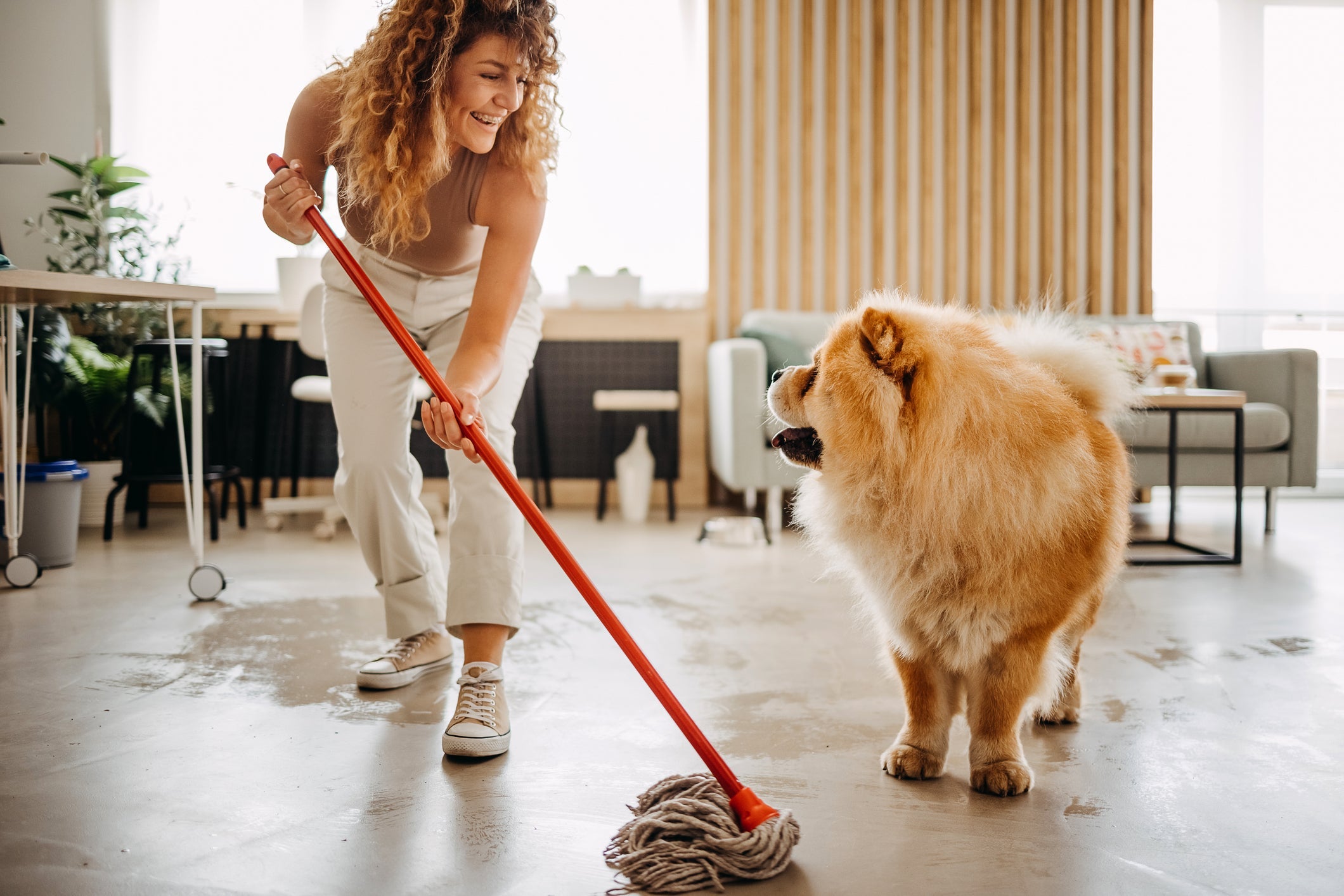 A limpeza do ambiente evita que o cachorro volte a fazer as necessidades no lugar errado
