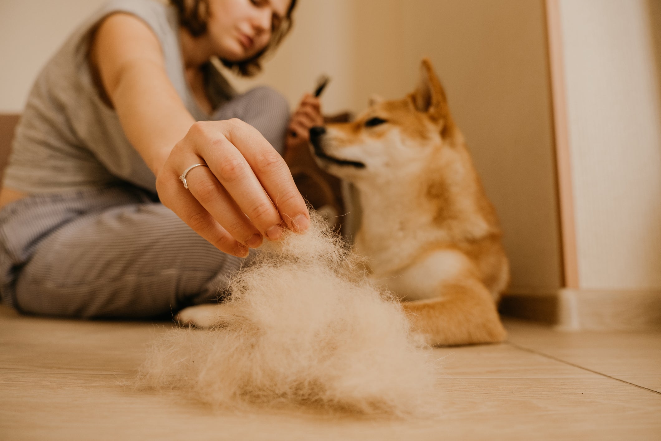 A dermatite canina pode causar também perda de pelos, vermelhidão e inchaço na pele do animal
