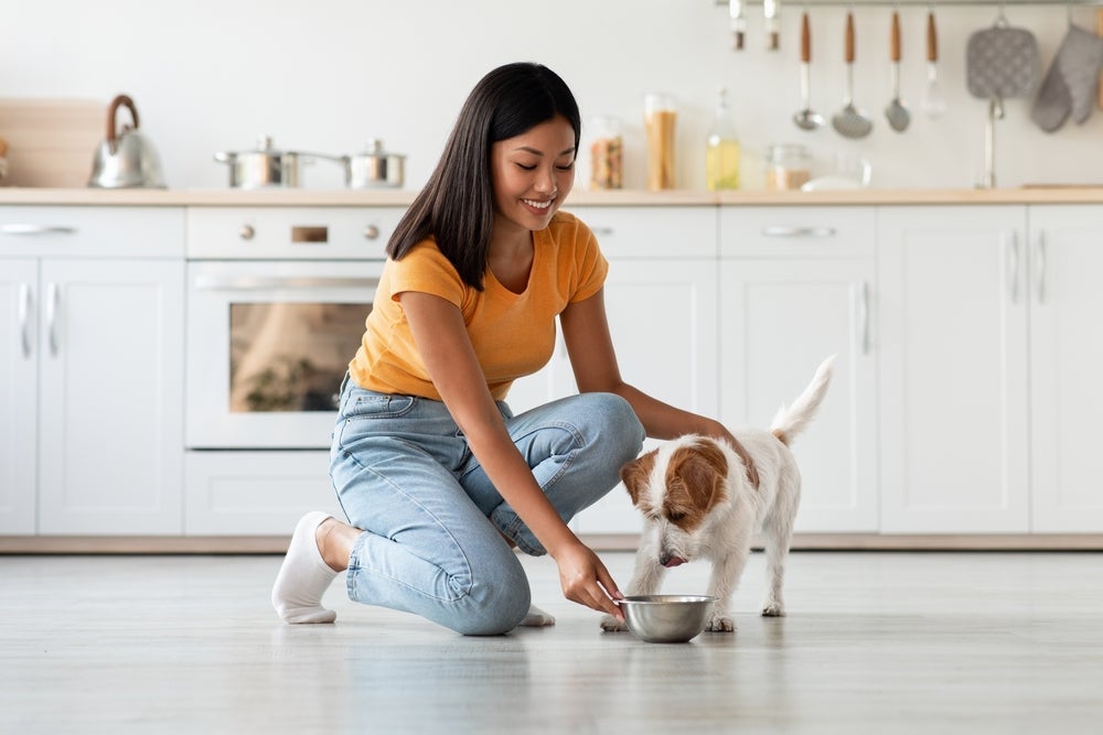 A troca de ração para cachorro deve ser realizada de forma gradual.