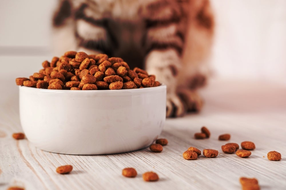 Potes estreitos podem empurrar o bigode de gato e incomodar